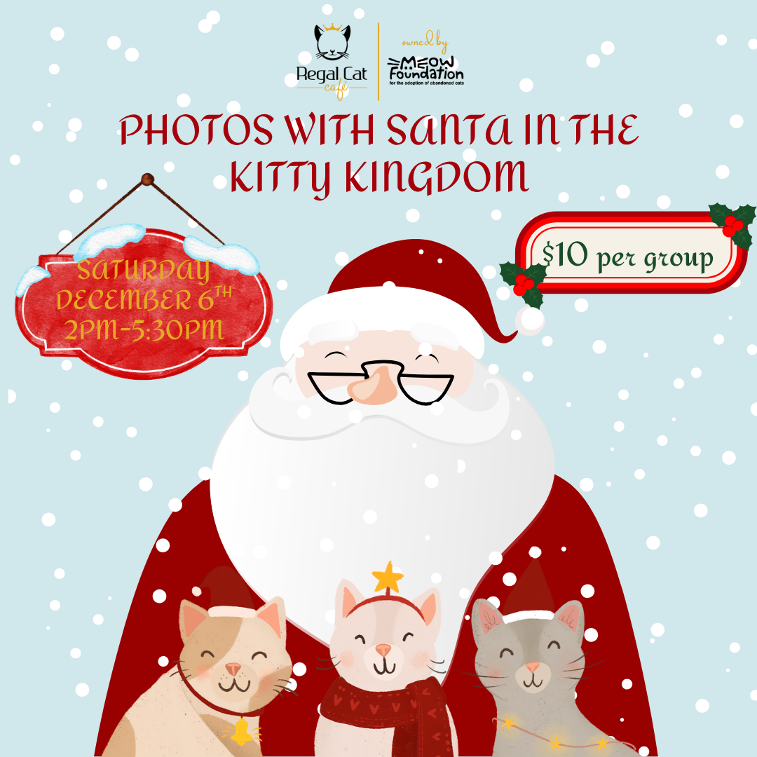 Santa photos in the kitty kingdom.png (Copy) (Copy) (Copy) (Copy) (Copy) (Copy) (Copy)