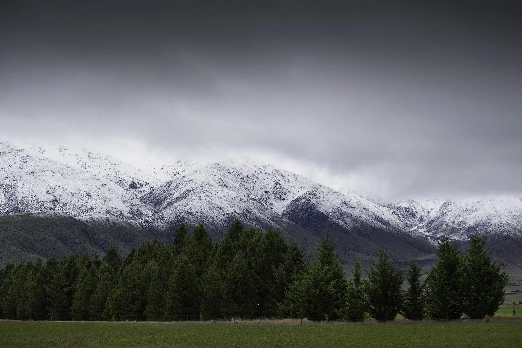 Roadside Summer-Winter.jpg