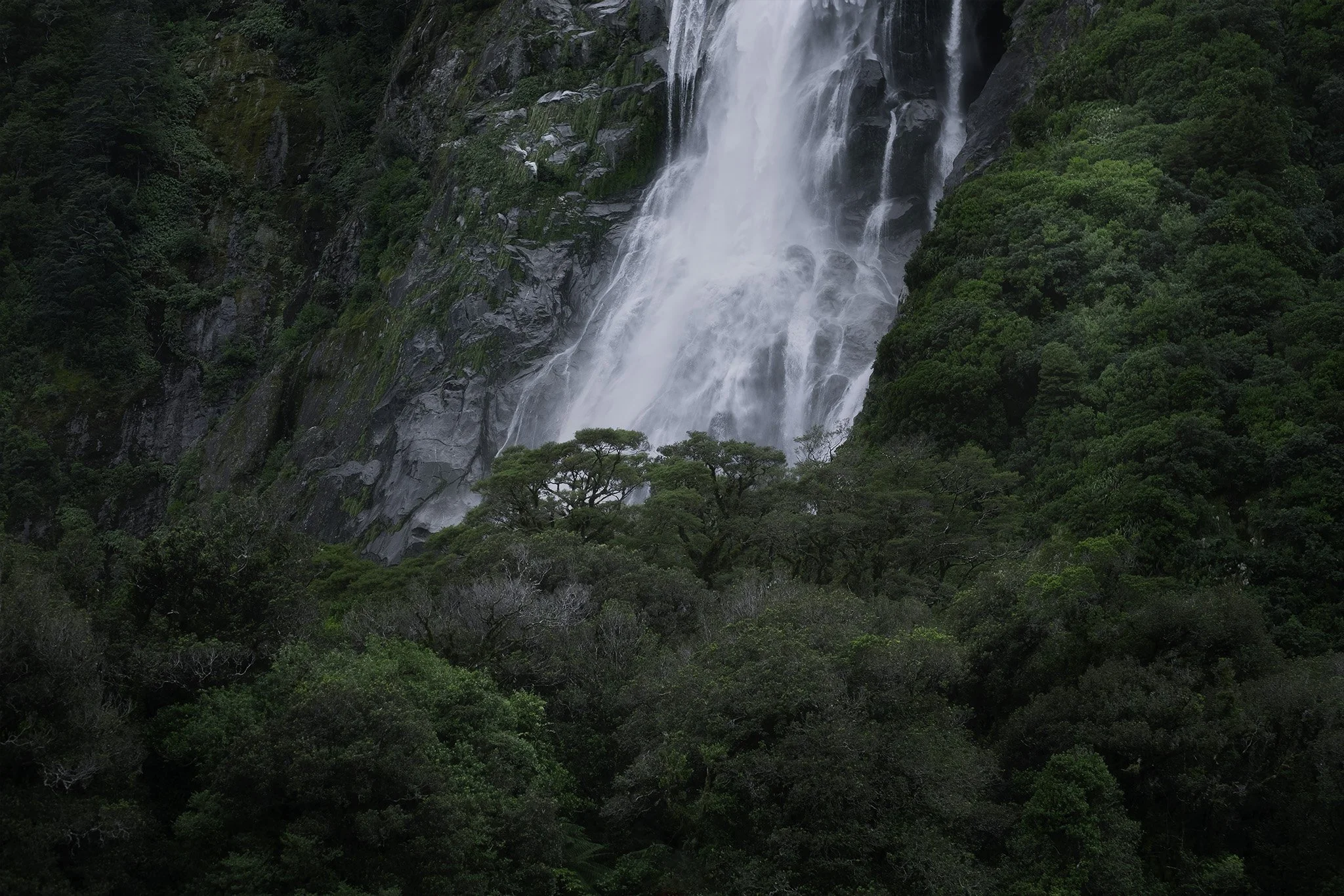 Milford Sound 1.jpg