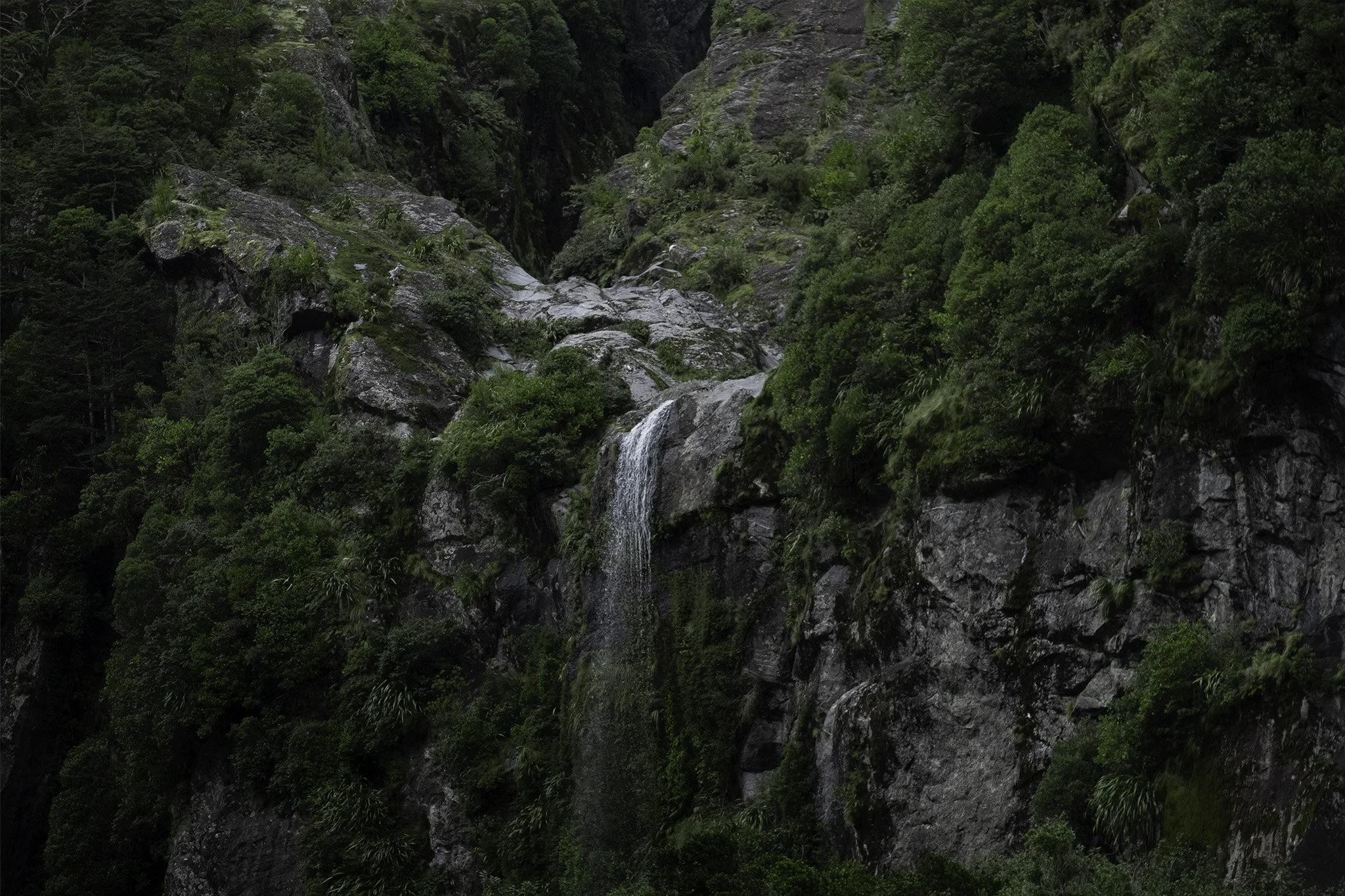 Milford Sound 6.jpg