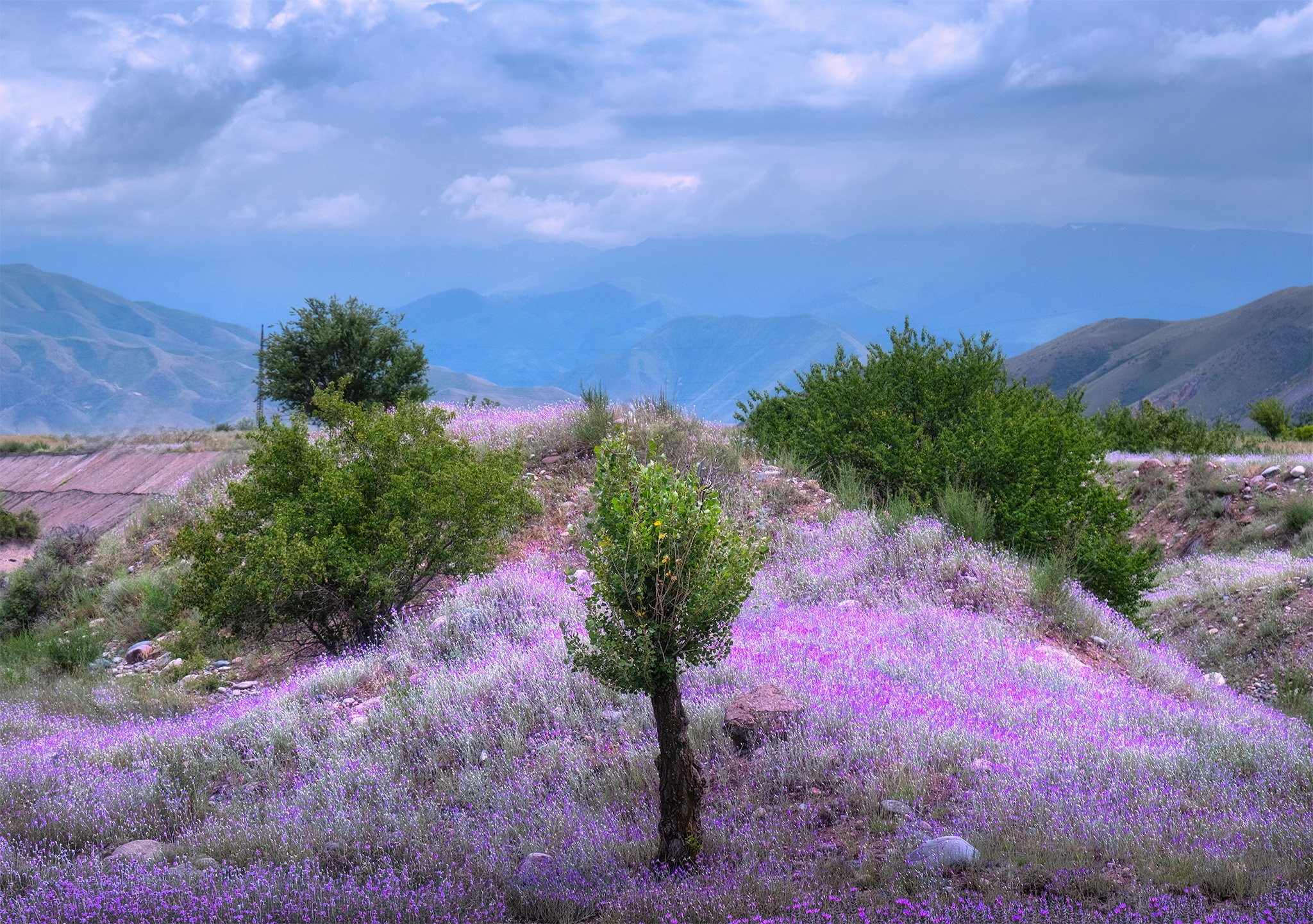 KYRGYZSTAN ROADSIDE.jpg