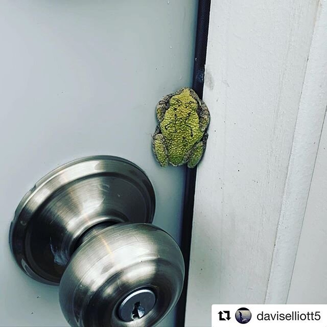 Those are SO expensive

#Repost @daviselliott5 with ・・・
These biological door seals are getting more and more complex. What is the proper protocol here? #biotech #security