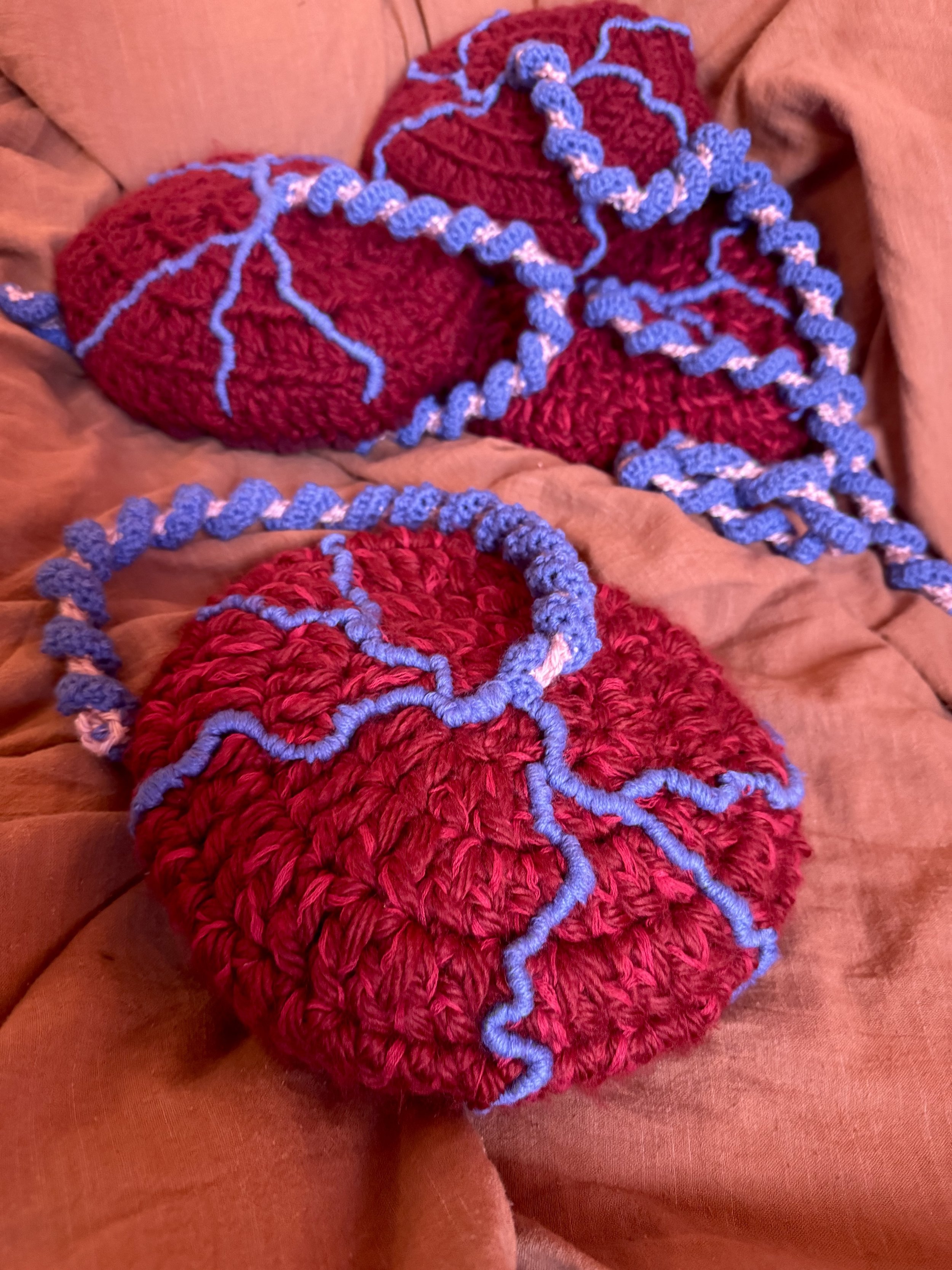 Placenta Model