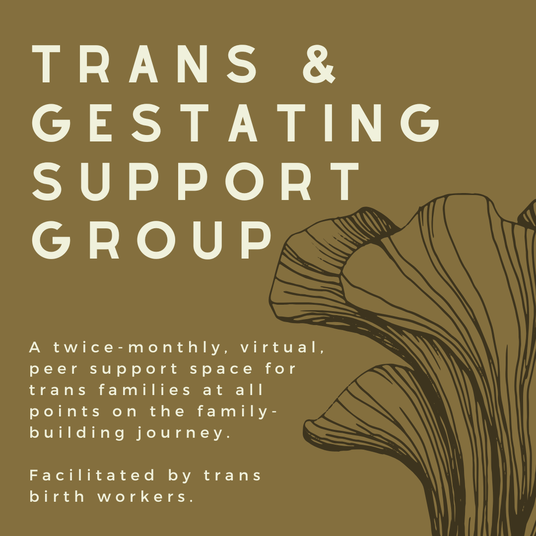 Trans & Gestating Support Group. A twice monthly, virtual, peer support space for trans families at all points on the family-building journey. Facilitated by trans birth workers.