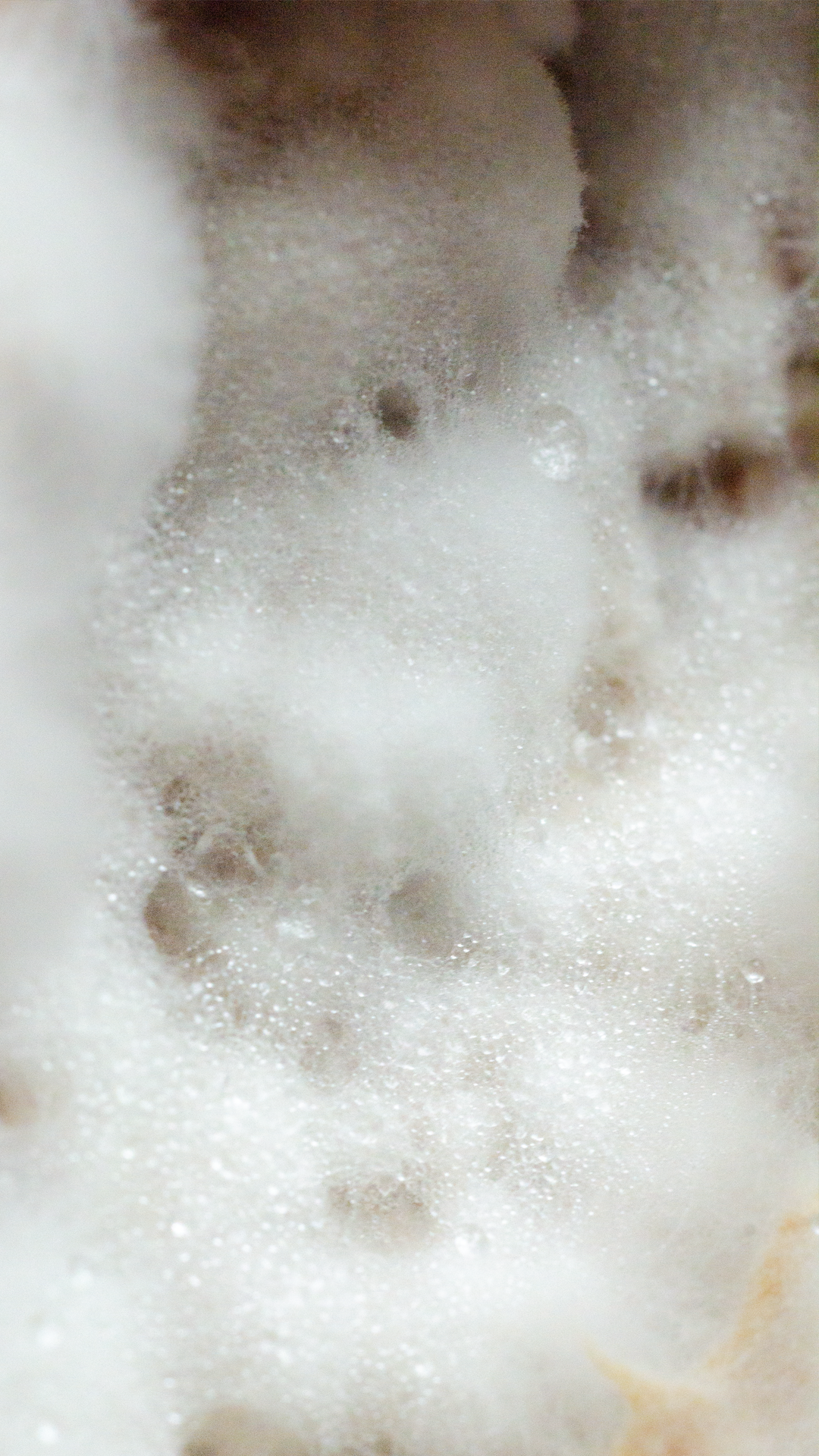 Sculpting in mycellium