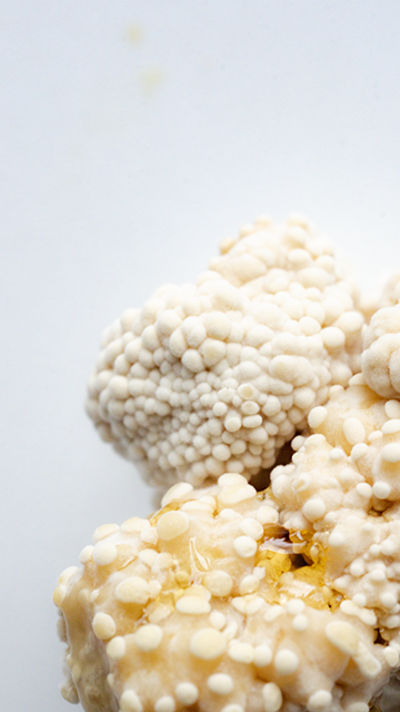 Sculpting in mycellium