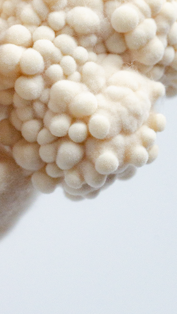 Sculpting in mycellium