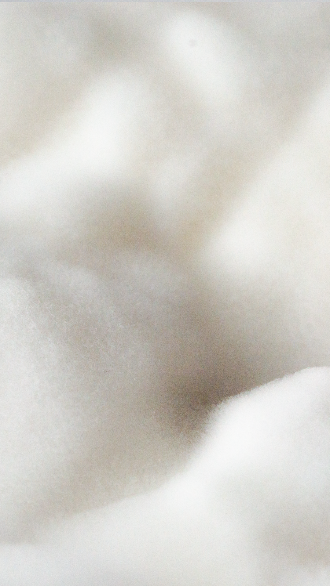 Sculpting in mycellium