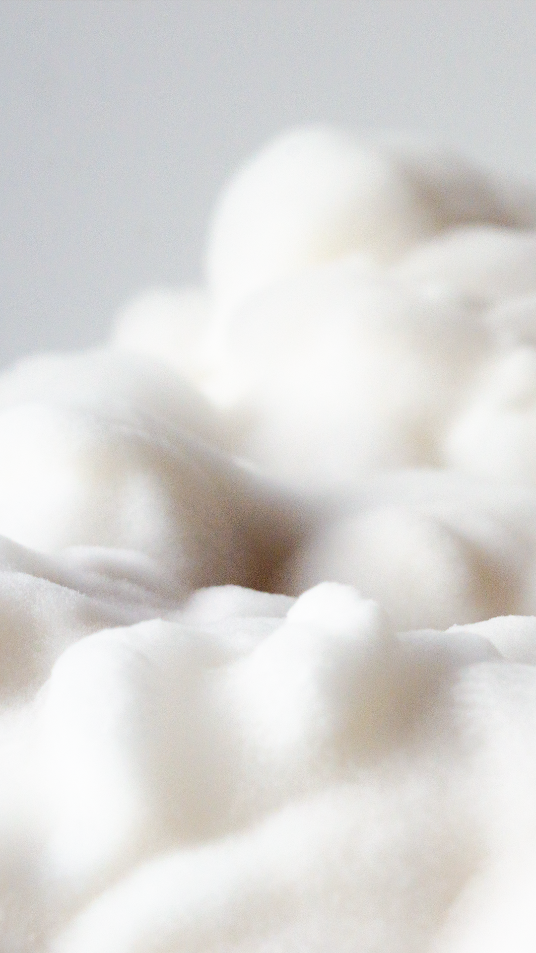 Sculpting in mycellium