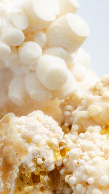 Sculpting in mycellium