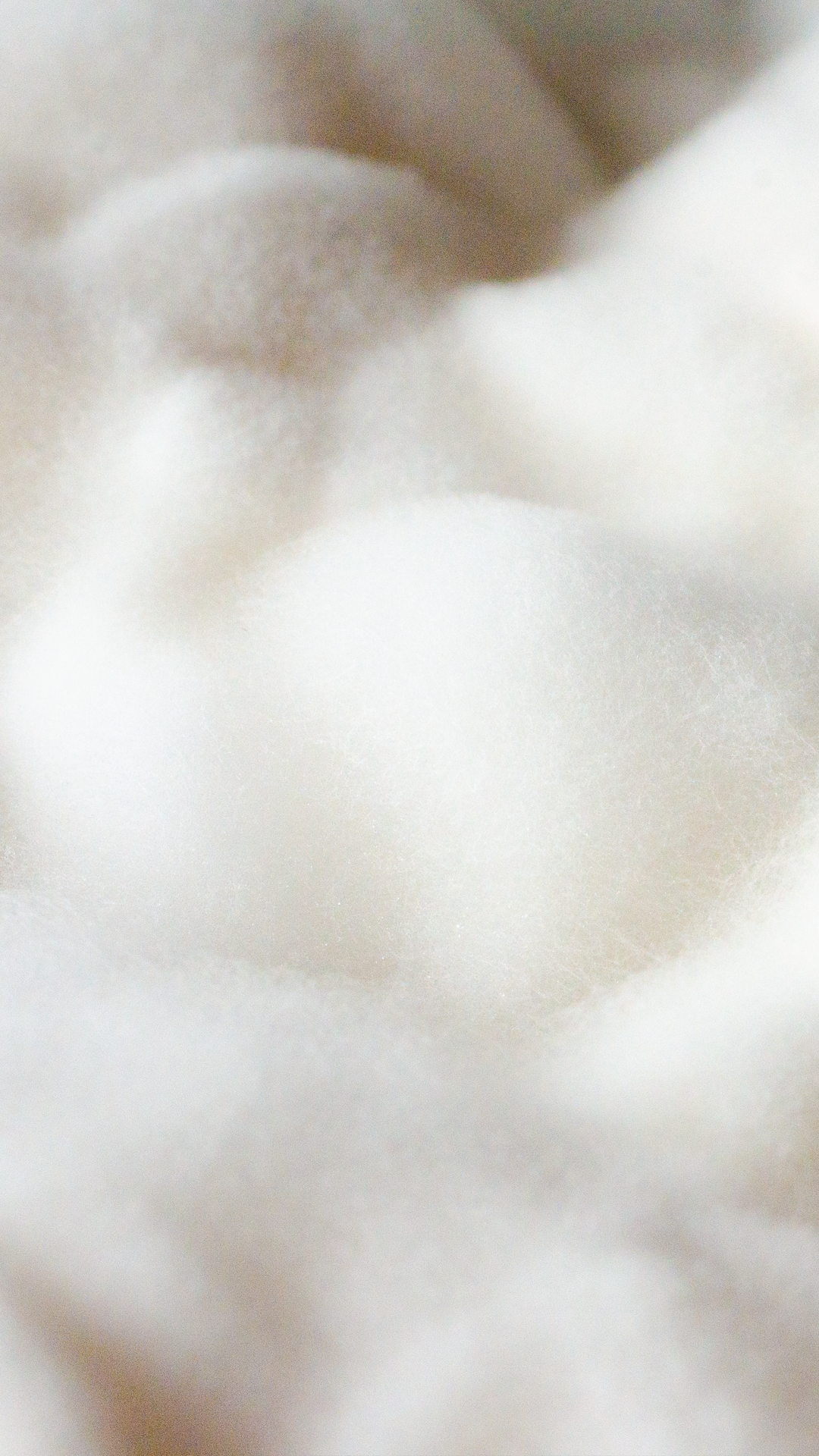 Sculpting in mycellium