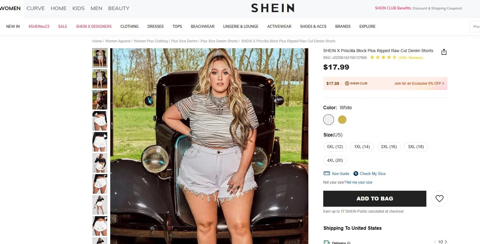 SHEIN PRISCILLA BLOCK.JPG