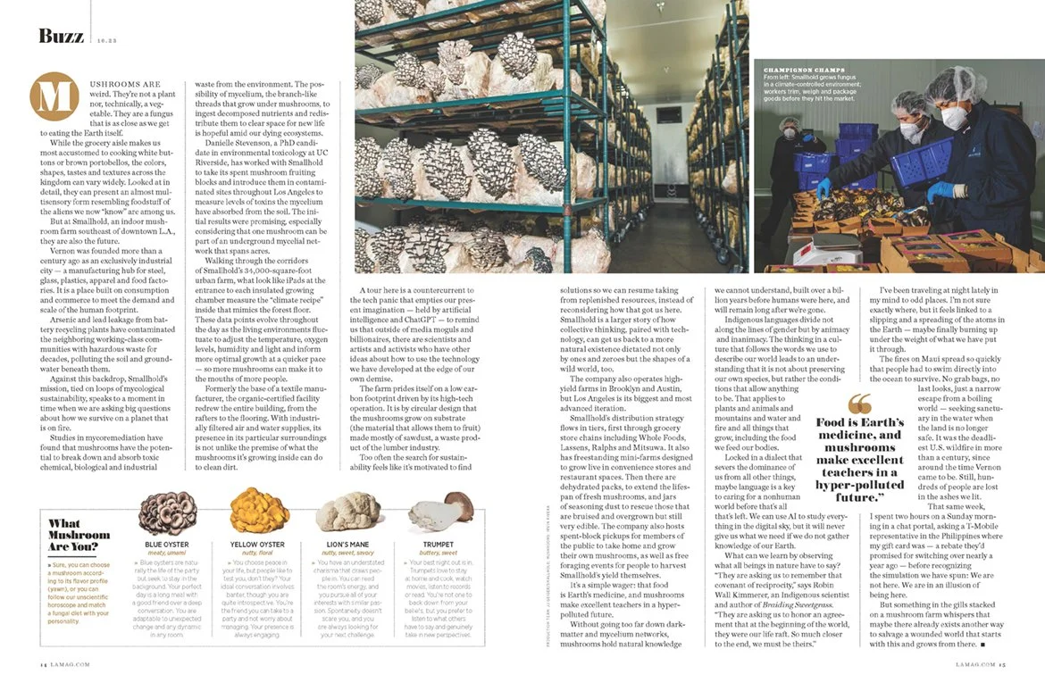 1023_BUZZ_Mushrooms_Page_2 copy.jpg