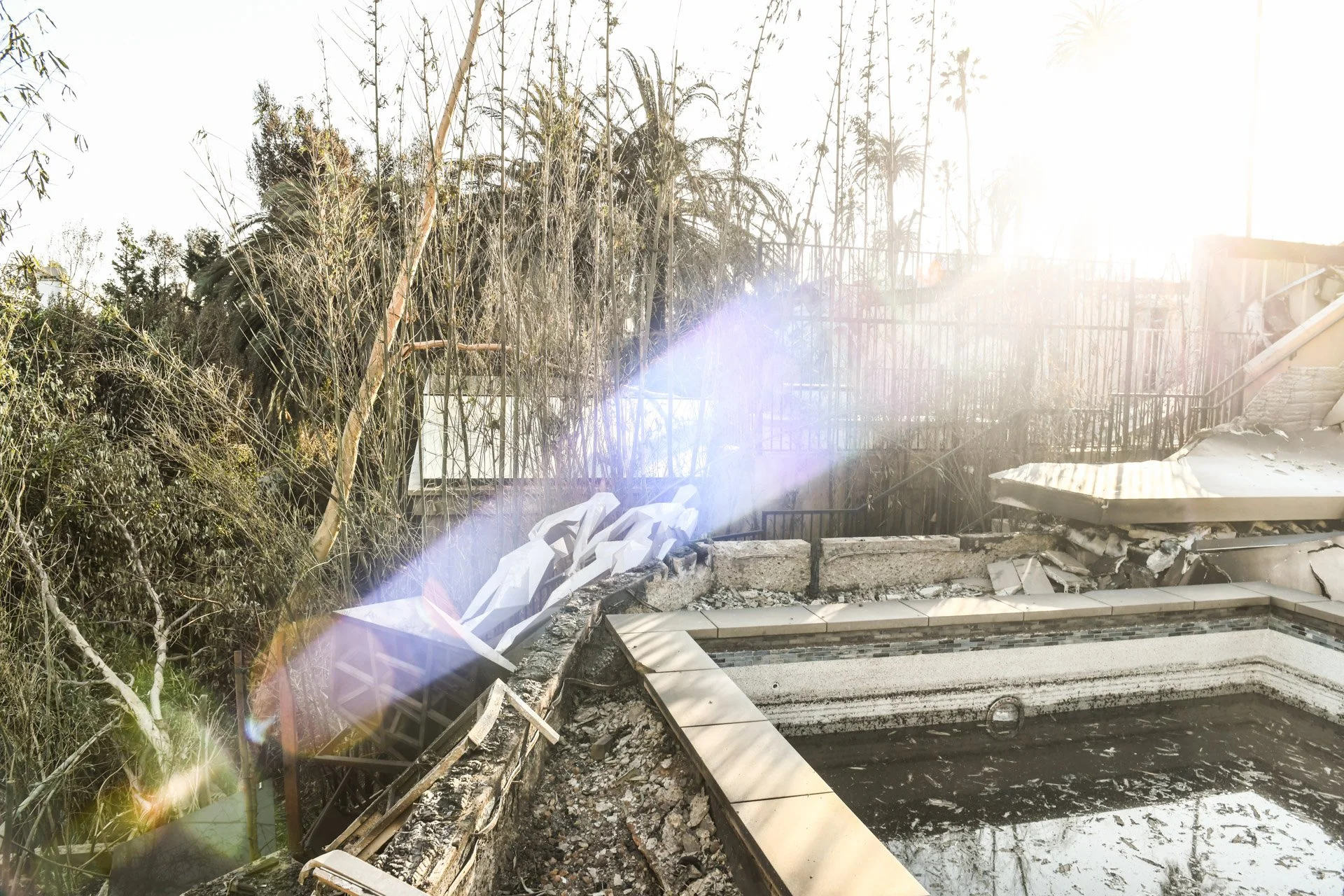 RON_RIVLIN_HOUSE_STATUE_LOS ANGELES MAG_009.jpeg