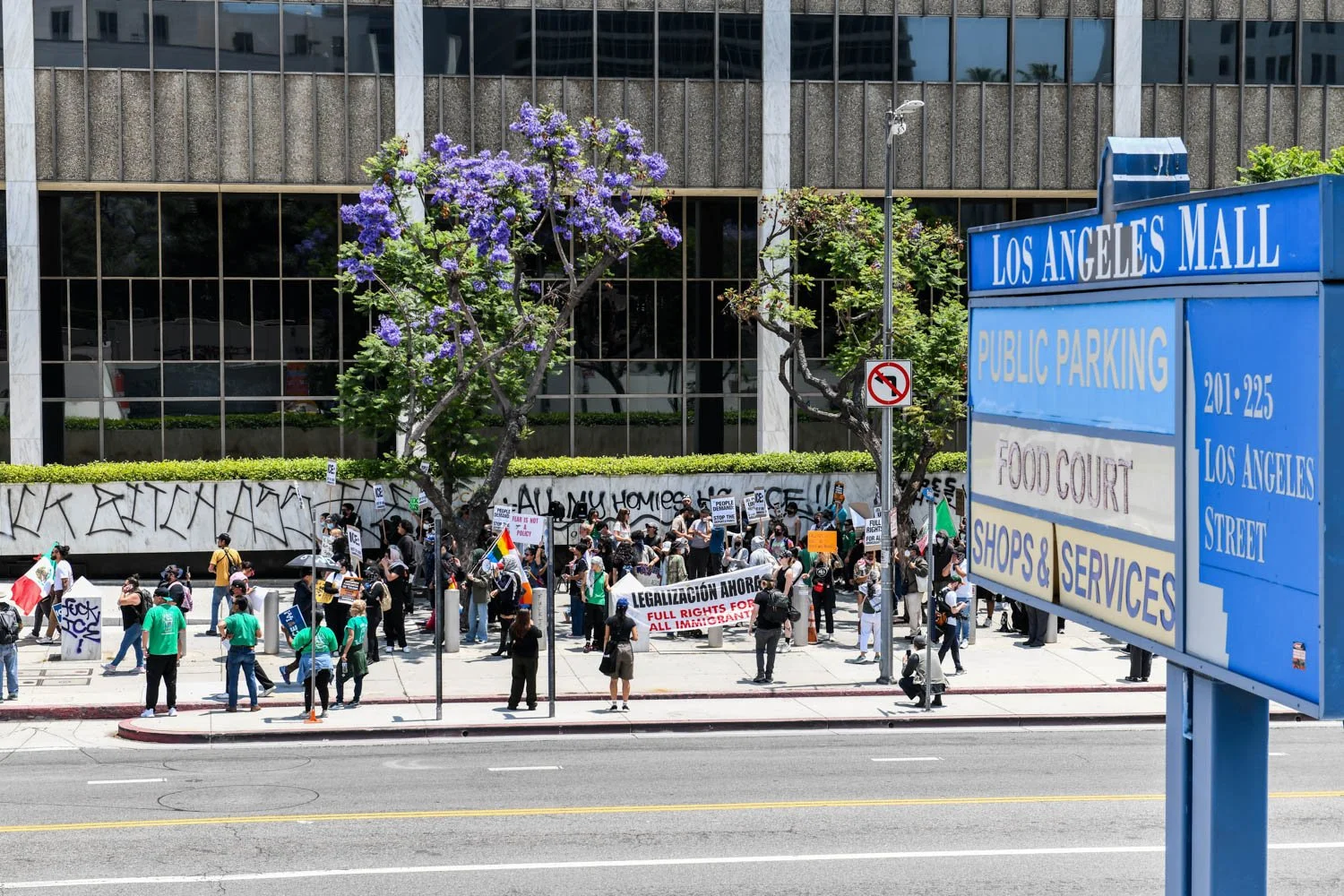 LAMAG_DTLA_PROTEST_JUN9_25_0089.jpg