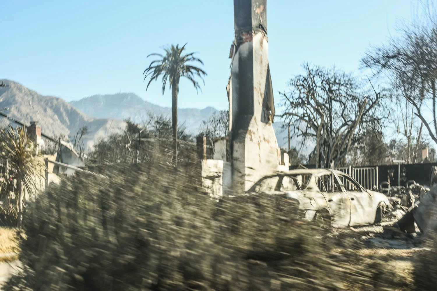 ALTADENA_DETAILS_LOS ANGELES_MAG_002.jpg
