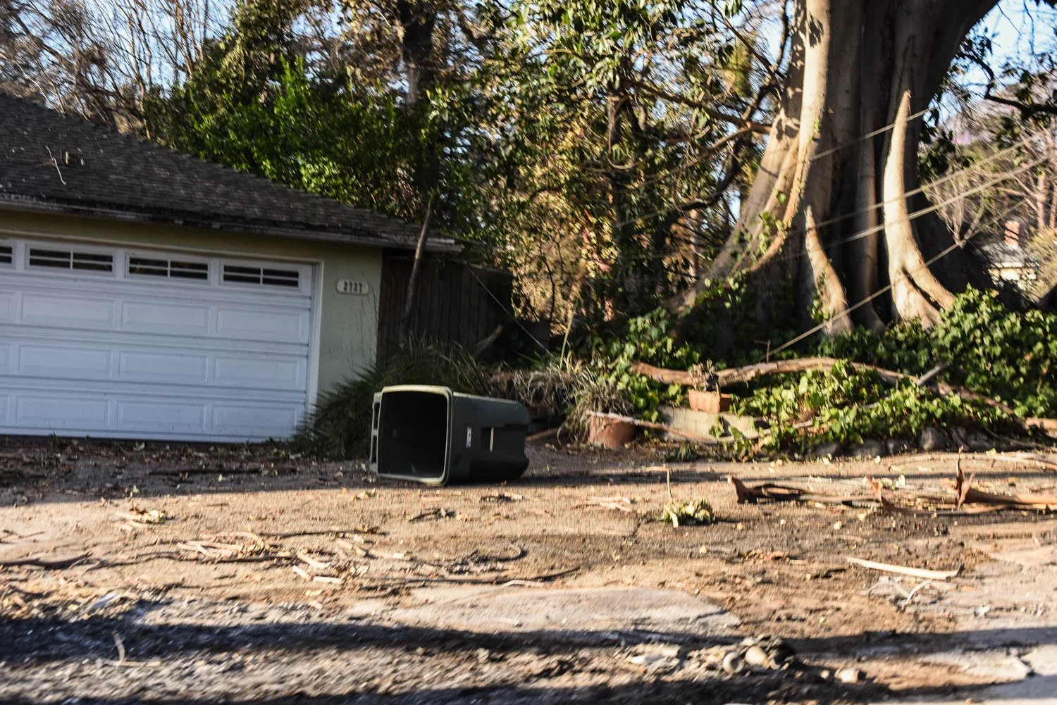 ALTADENA_DETAILS_LOS ANGELES_MAG_018.jpg