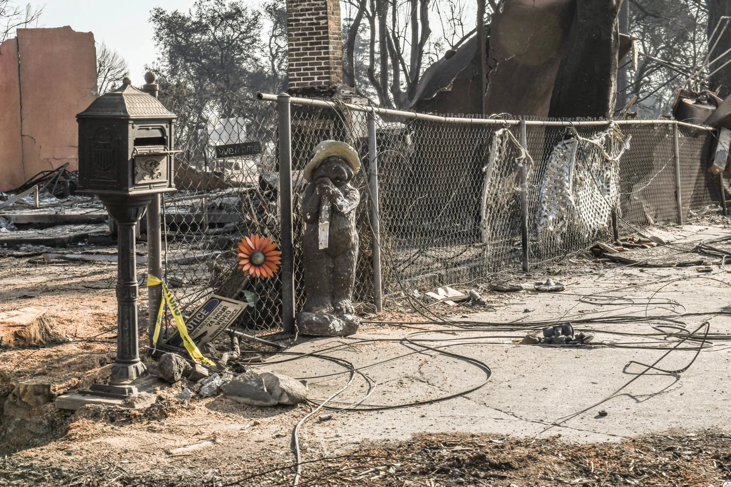 ALTADENA_DETAILS_LOS ANGELES_MAG_052.jpg
