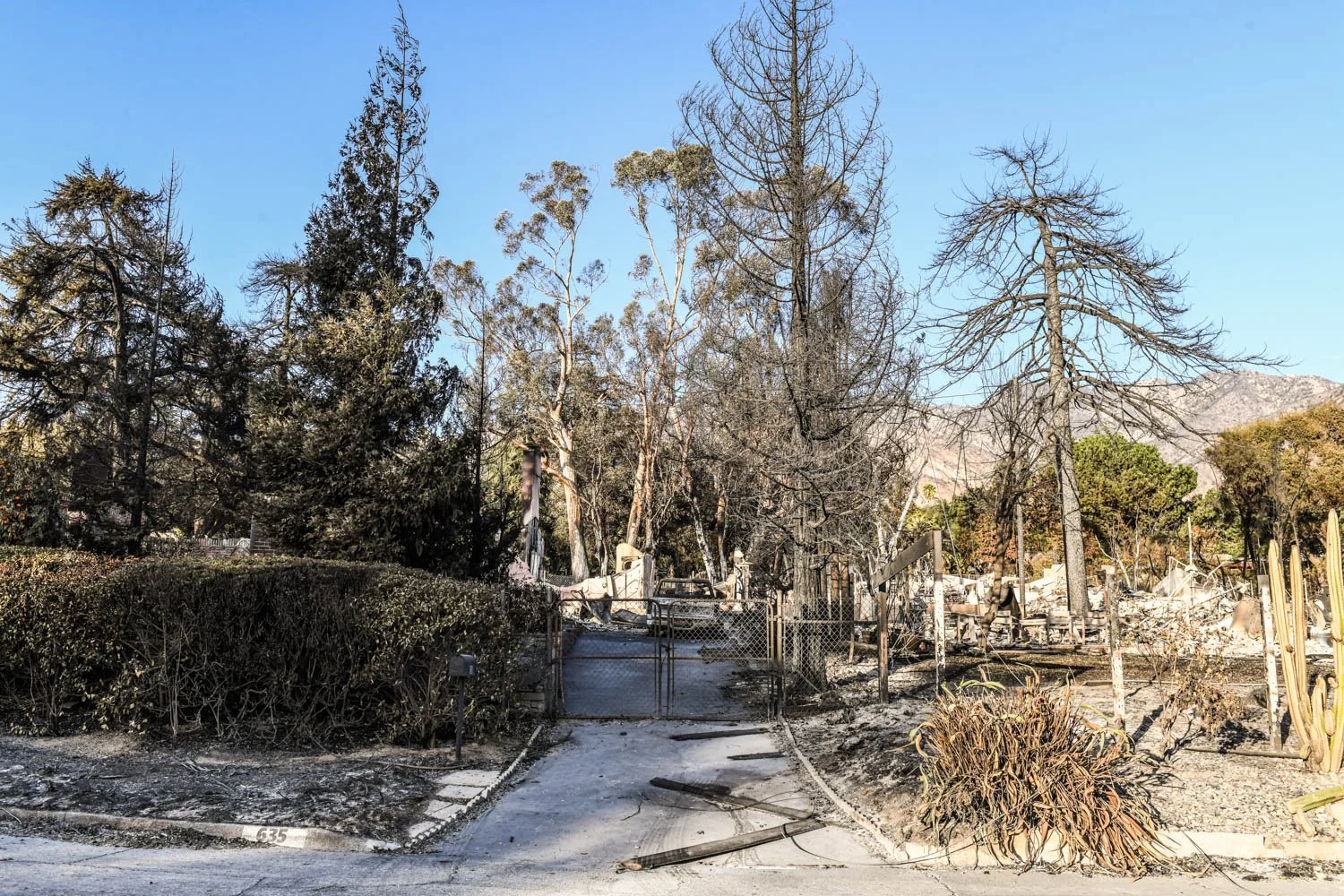 ALTADENA_DETAILS_LOS ANGELES_MAG_071.jpg