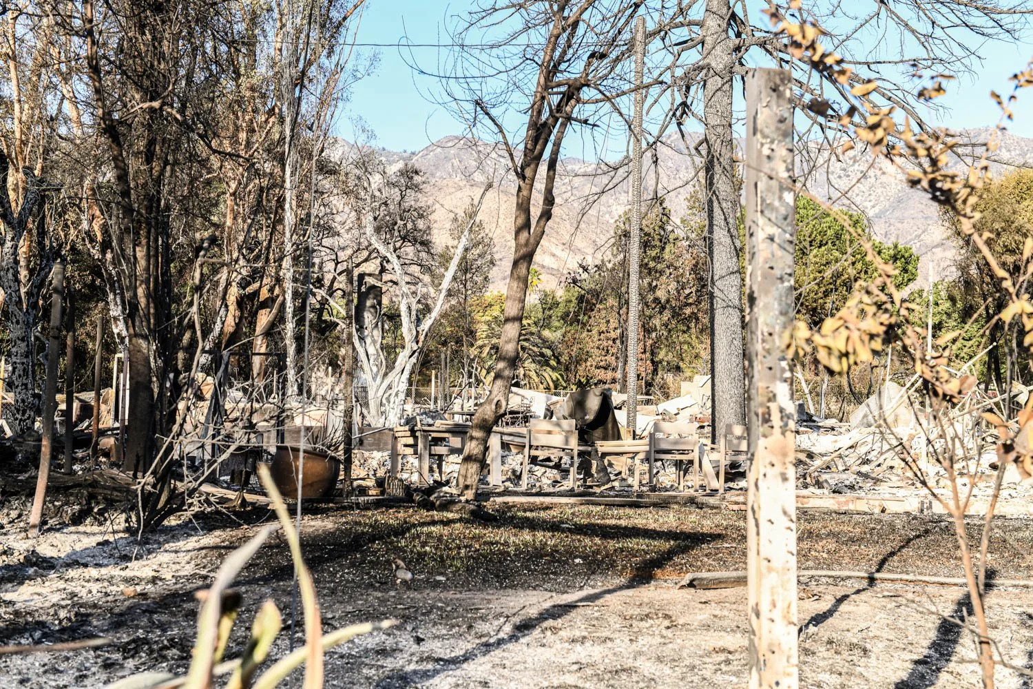 ALTADENA_DETAILS_LOS ANGELES_MAG_072.jpg