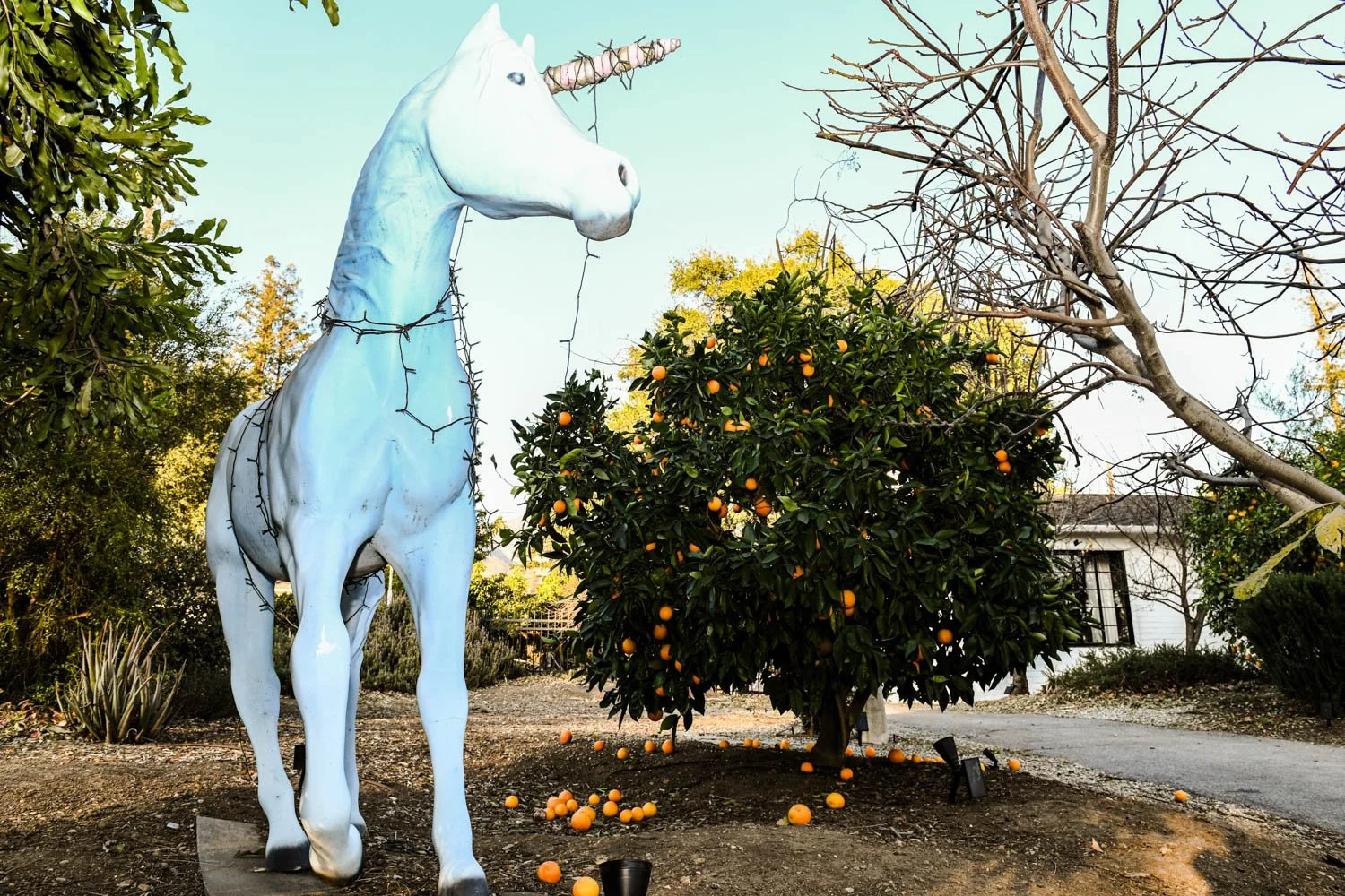 ALTADENA_DETAILS_LOS ANGELES_MAG_091.jpg
