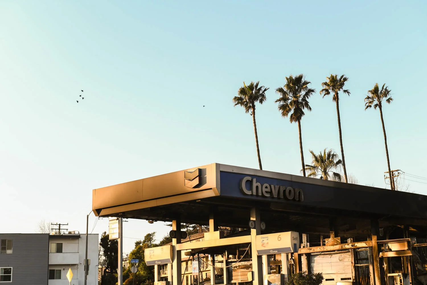 ALTADENA_DETAILS_LOS ANGELES_MAG_101.jpg