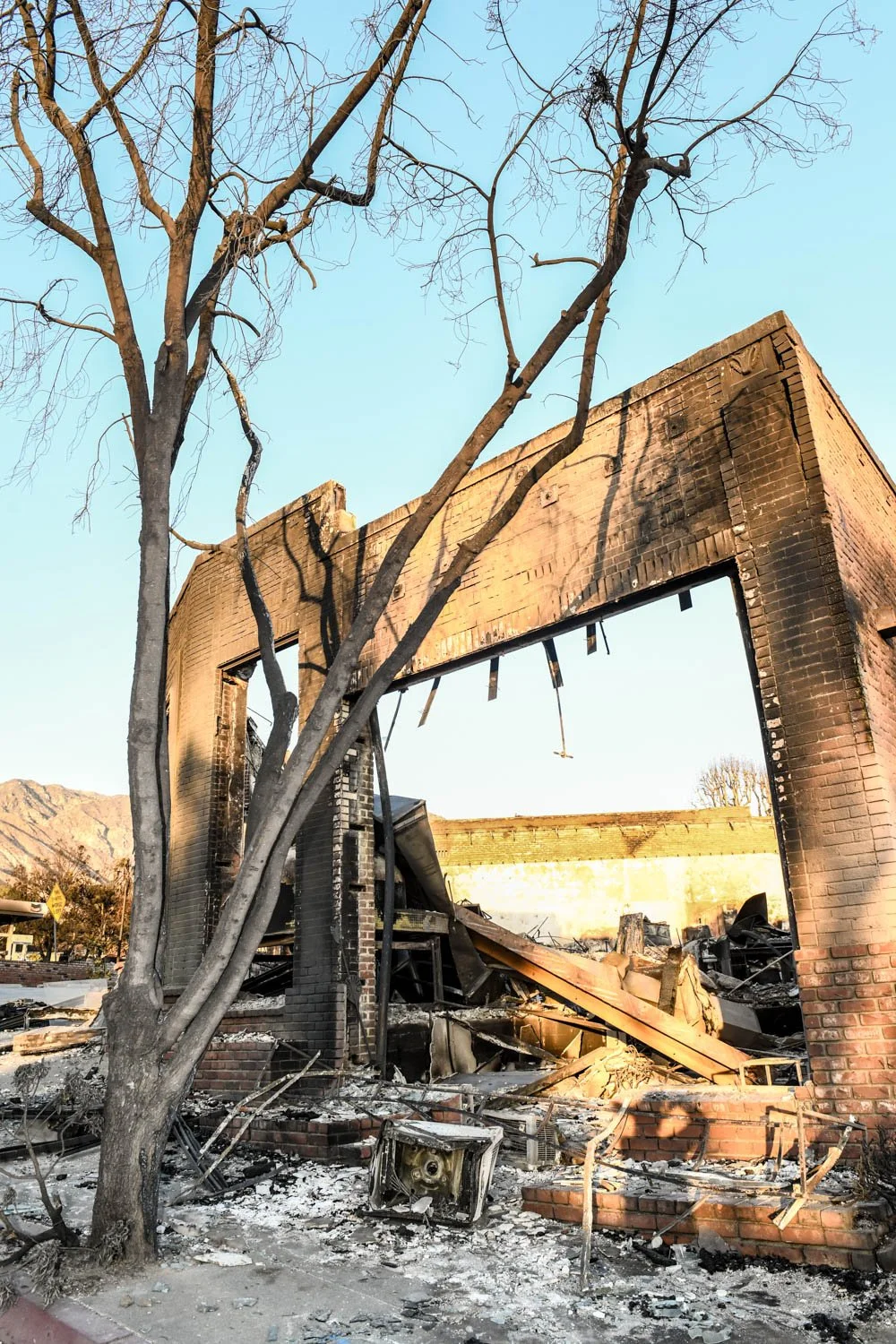 ALTADENA_DETAILS_LOS ANGELES_MAG_111.jpg