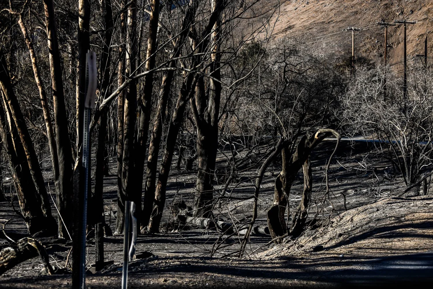 PALISADES DETAILS_LOS ANGELES_MAG_003.jpg