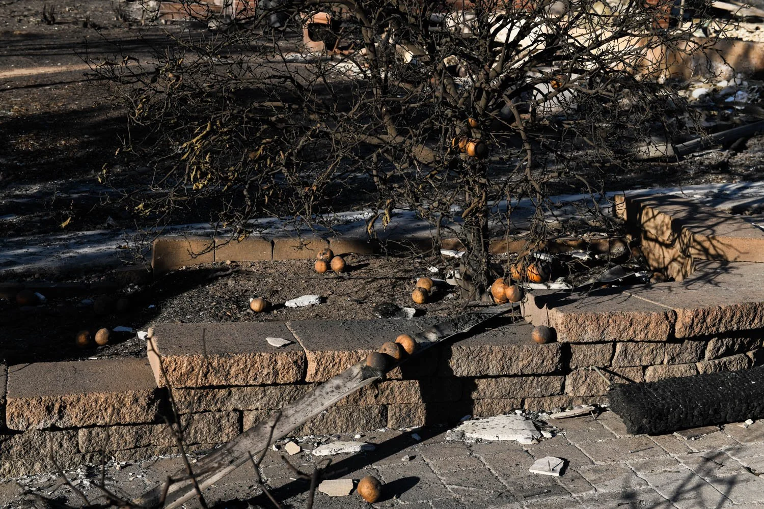 PALISADES DETAILS_LOS ANGELES_MAG_040.jpg