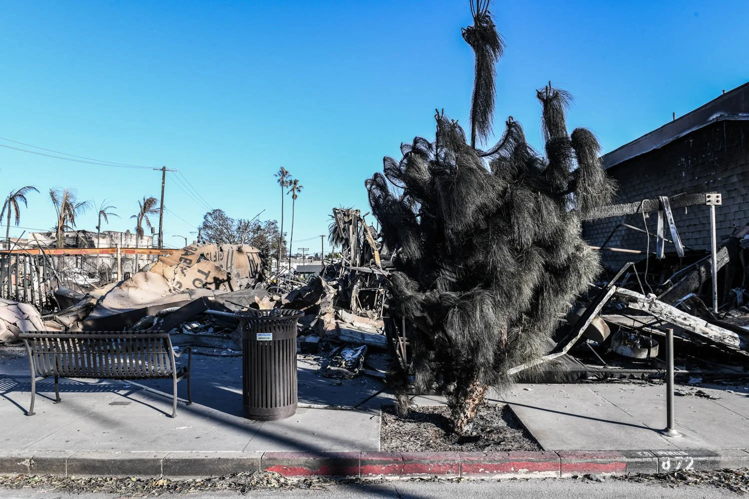 PALISADES DETAILS_LOS ANGELES_MAG_075.jpg