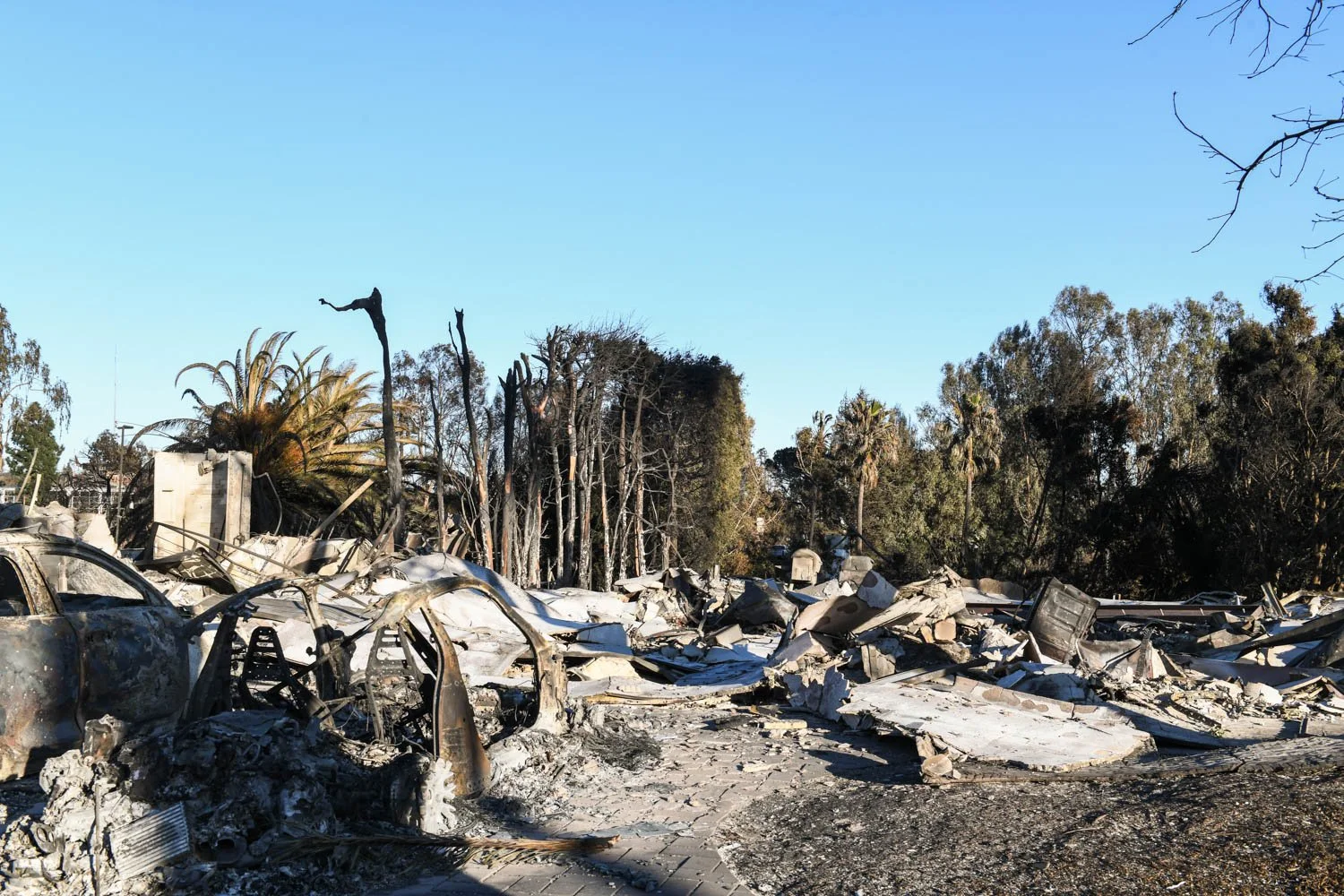 PALISADES DETAILS_LOS ANGELES_MAG_099.jpg