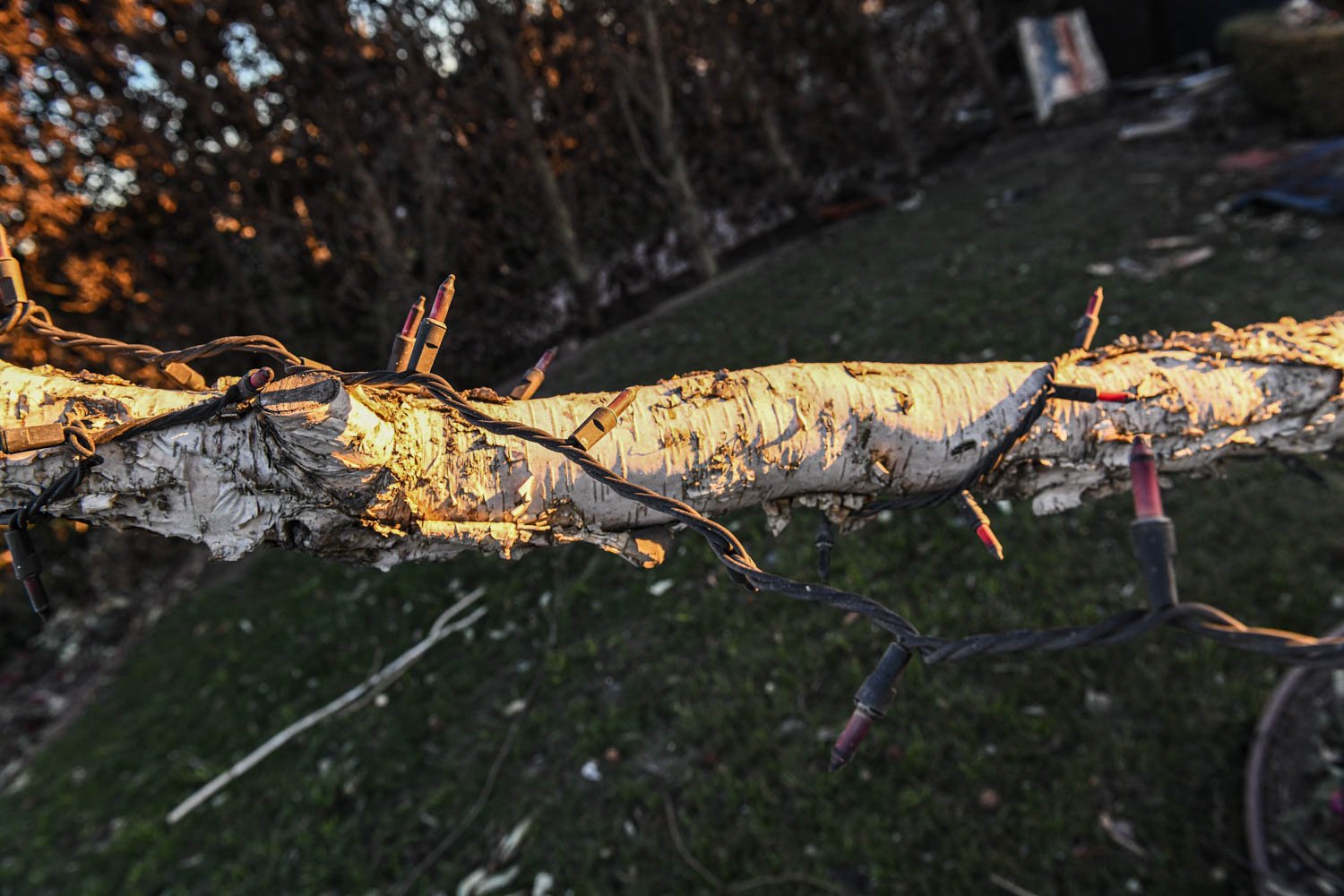 PALISADES DETAILS_LOS ANGELES_MAG_121.jpg