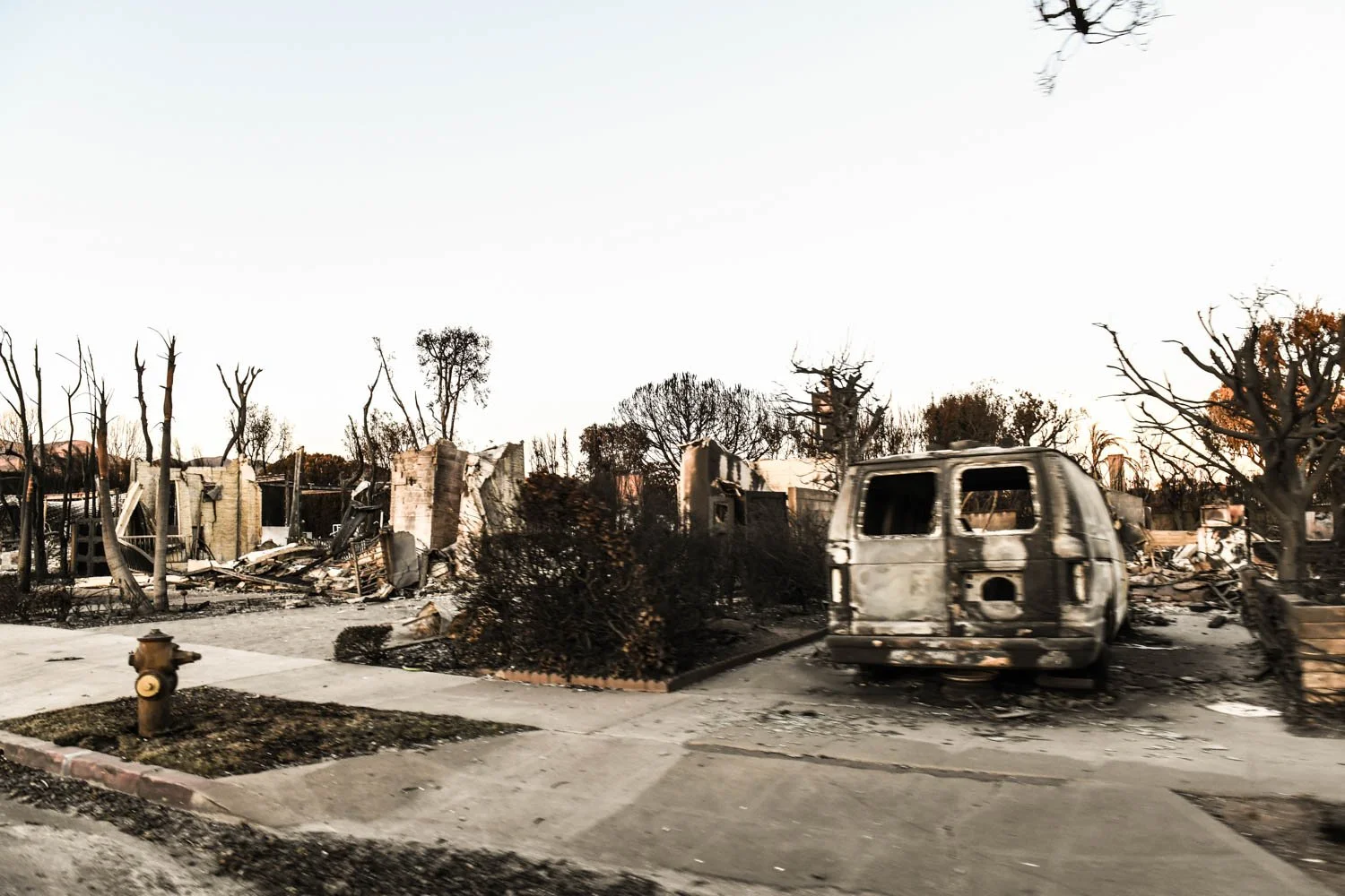 PALISADES DETAILS_LOS ANGELES_MAG_125.jpg