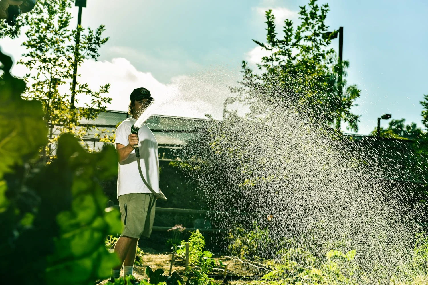 OCM_TREVOR_BAIRD_FARM_0006.jpg