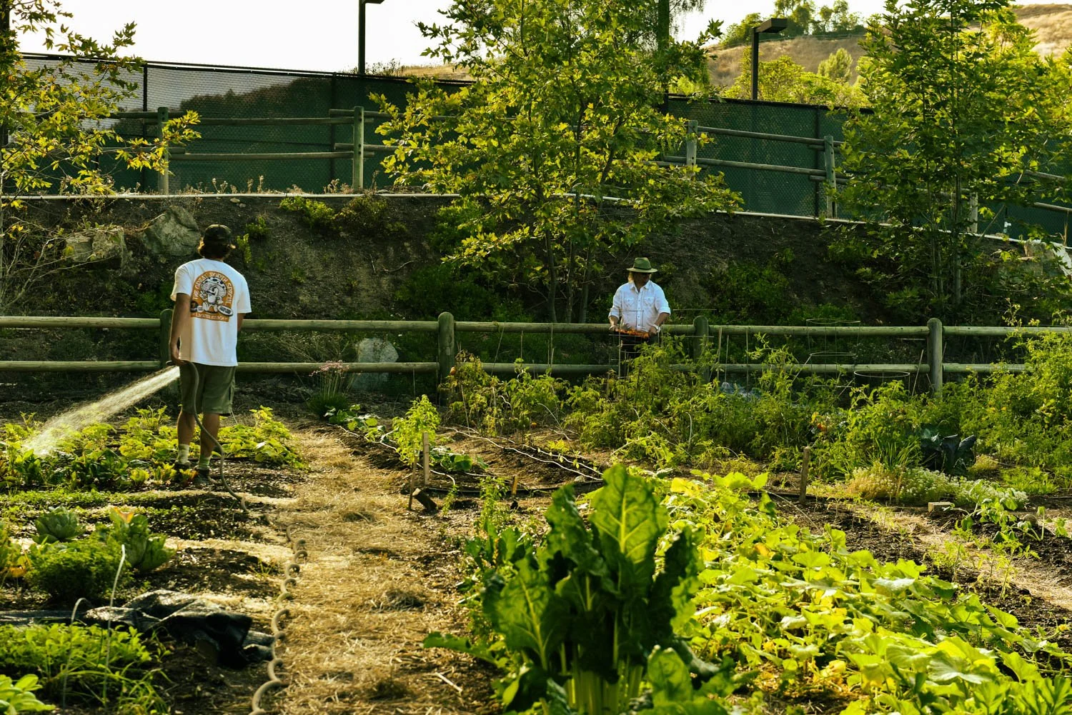 OCM_TREVOR_BAIRD_FARM_0008.jpg