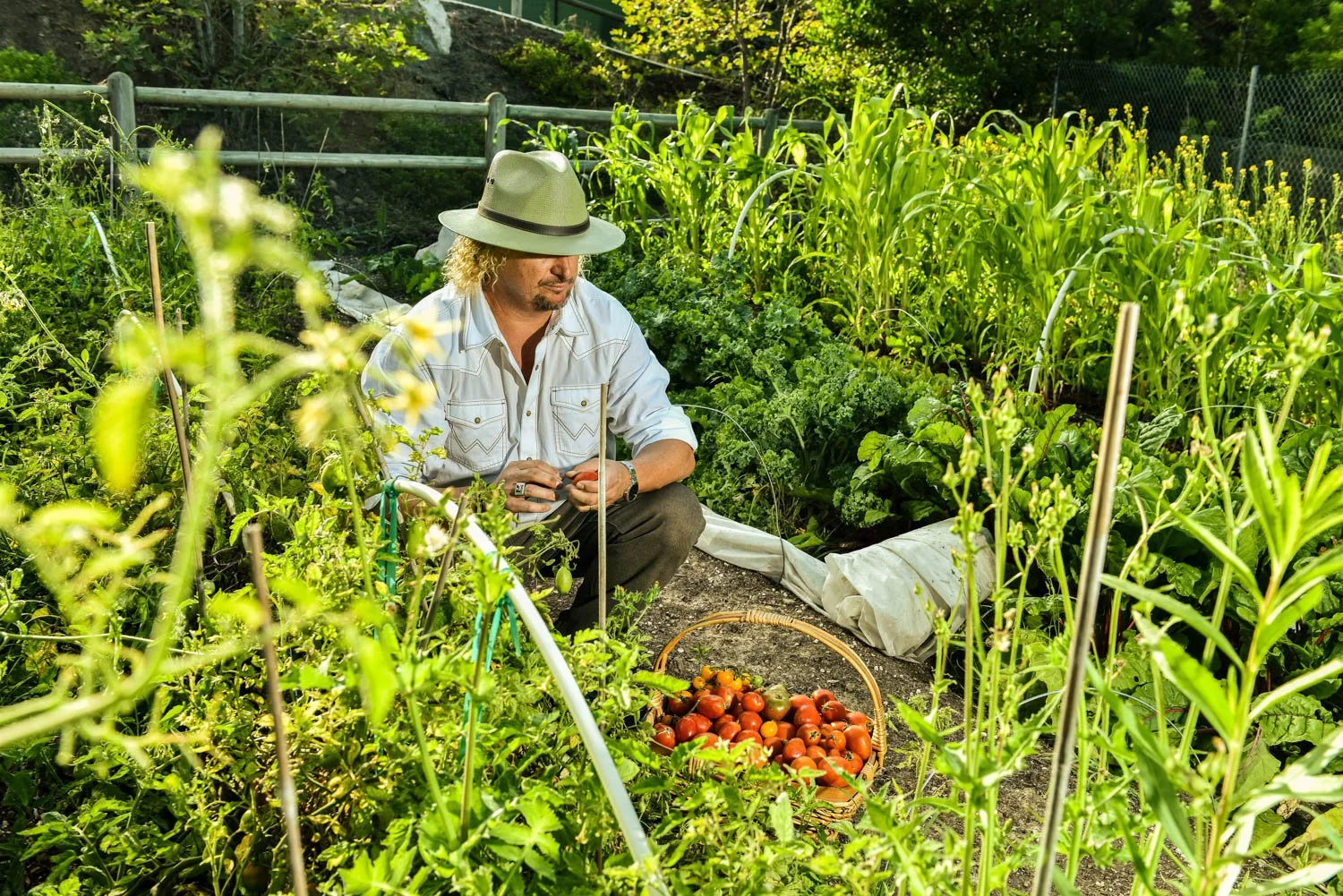 OCM_TREVOR_BAIRD_FARM_0026.jpg