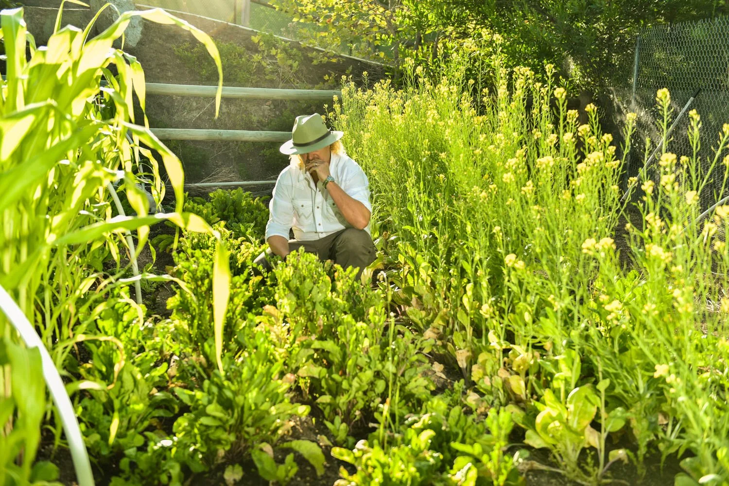 OCM_TREVOR_BAIRD_FARM_0077.jpg