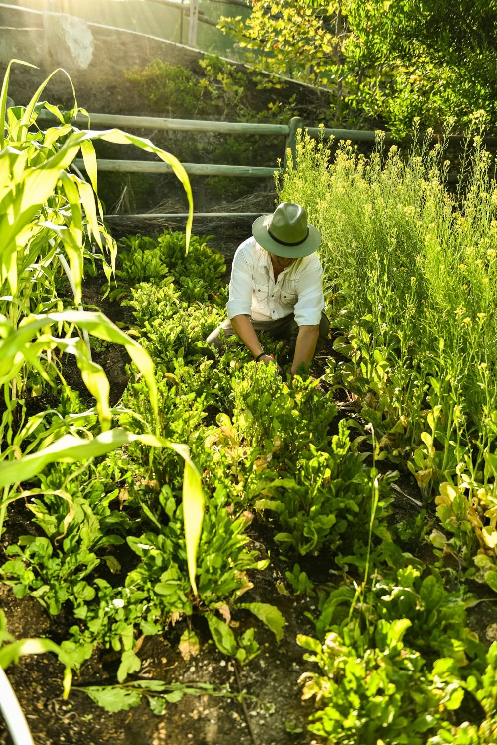 OCM_TREVOR_BAIRD_FARM_0081.jpg