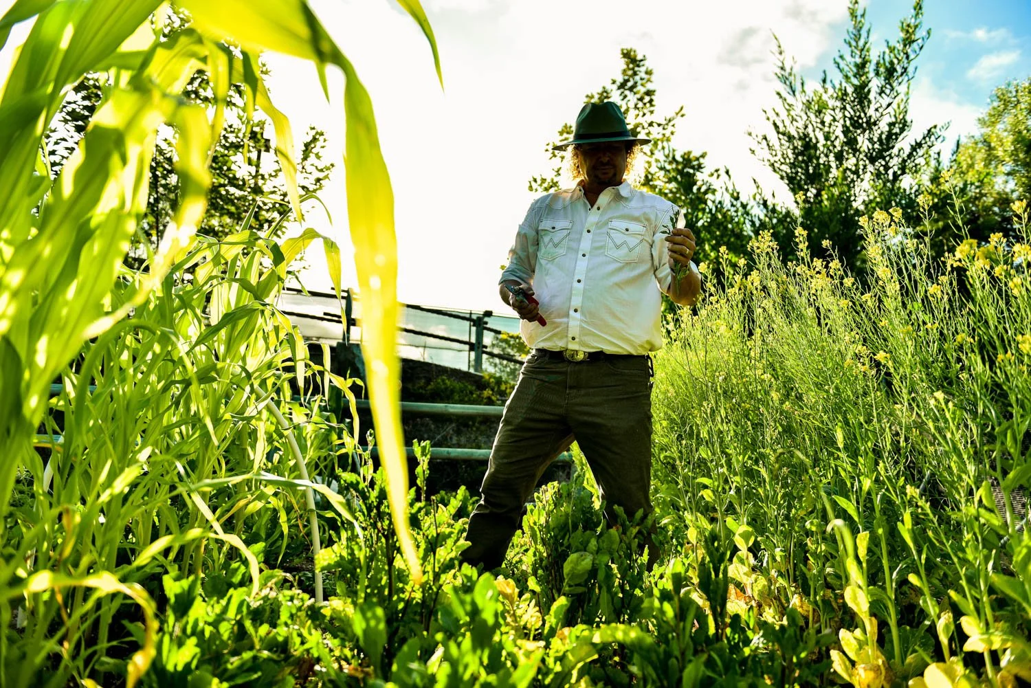 OCM_TREVOR_BAIRD_FARM_0097.jpg