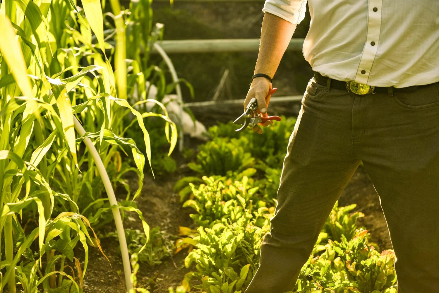 OCM_TREVOR_BAIRD_FARM_0099.jpg
