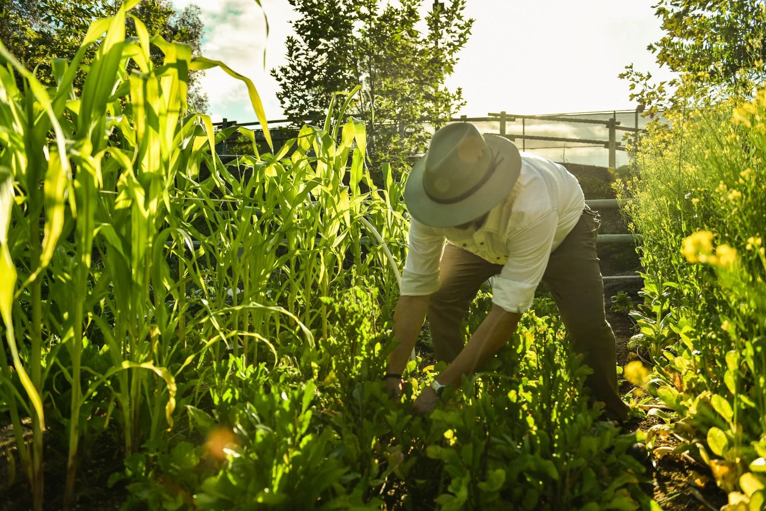 OCM_TREVOR_BAIRD_FARM_0102.jpg