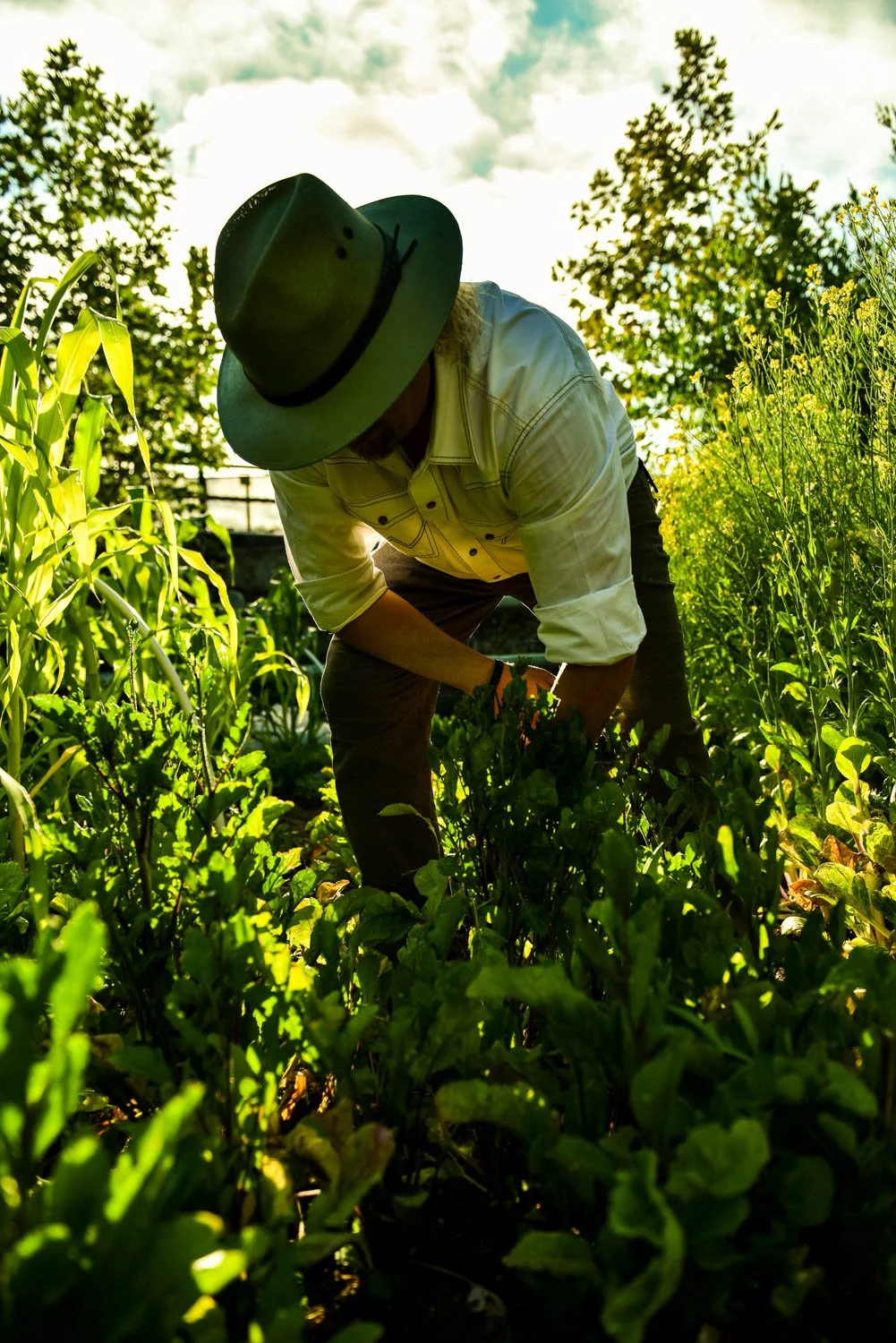OCM_TREVOR_BAIRD_FARM_0112.jpg