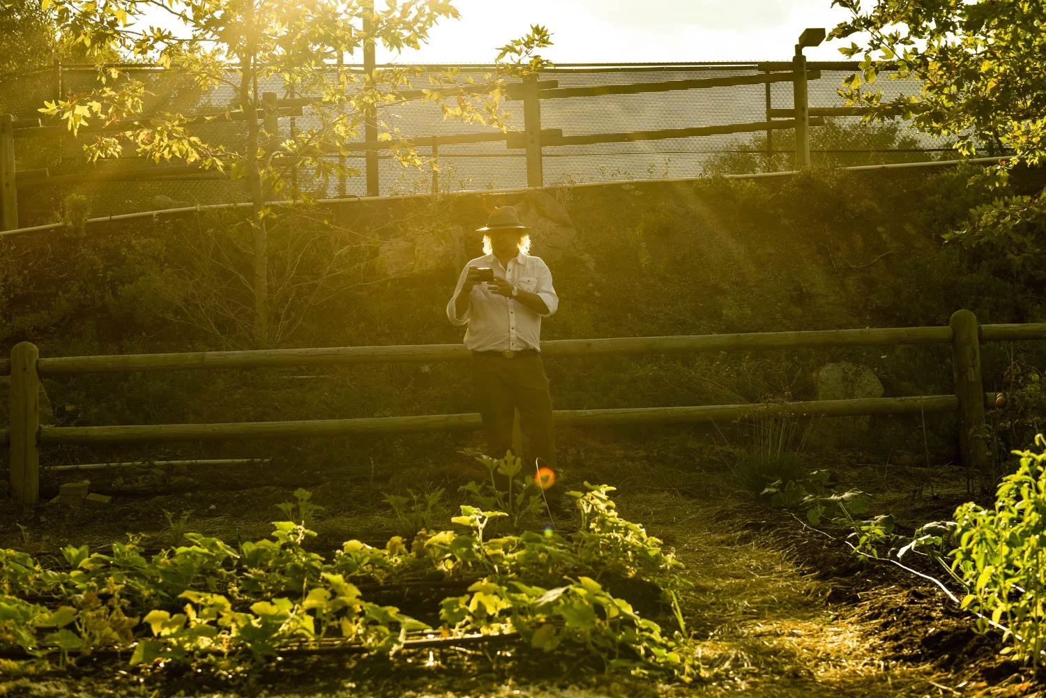 OCM_TREVOR_BAIRD_FARM_0124.jpg