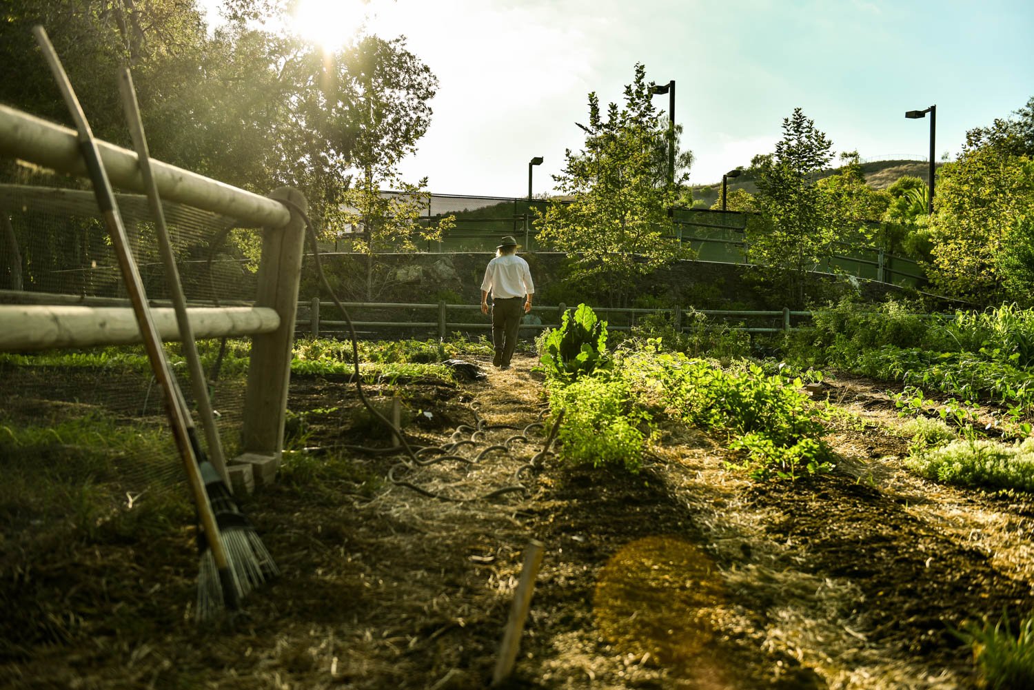 OCM_TREVOR_BAIRD_FARM_0140.jpg