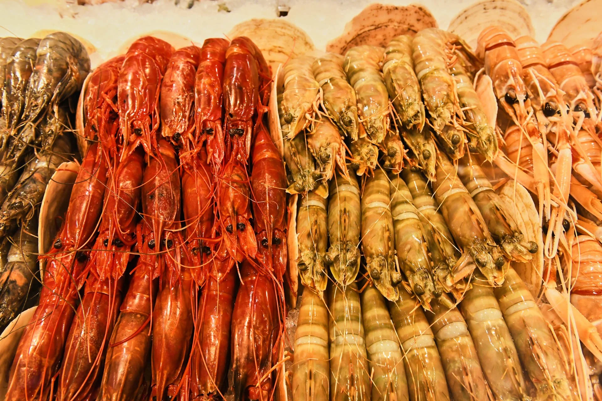 WESTFIELD DAY2_EATALY_0177.jpg