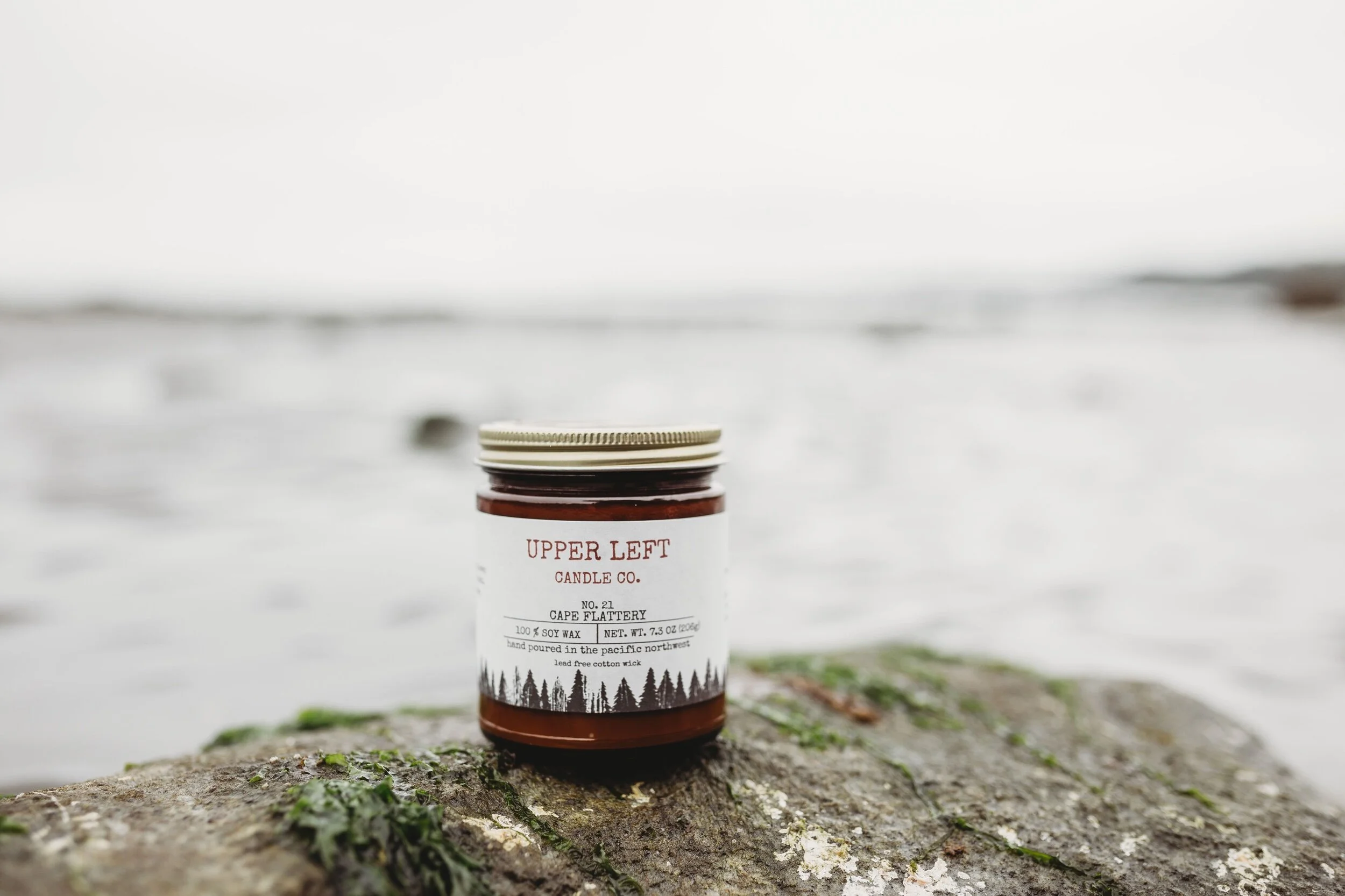 81B5EC39-A1CB-43FB-8717-F35338223DAD