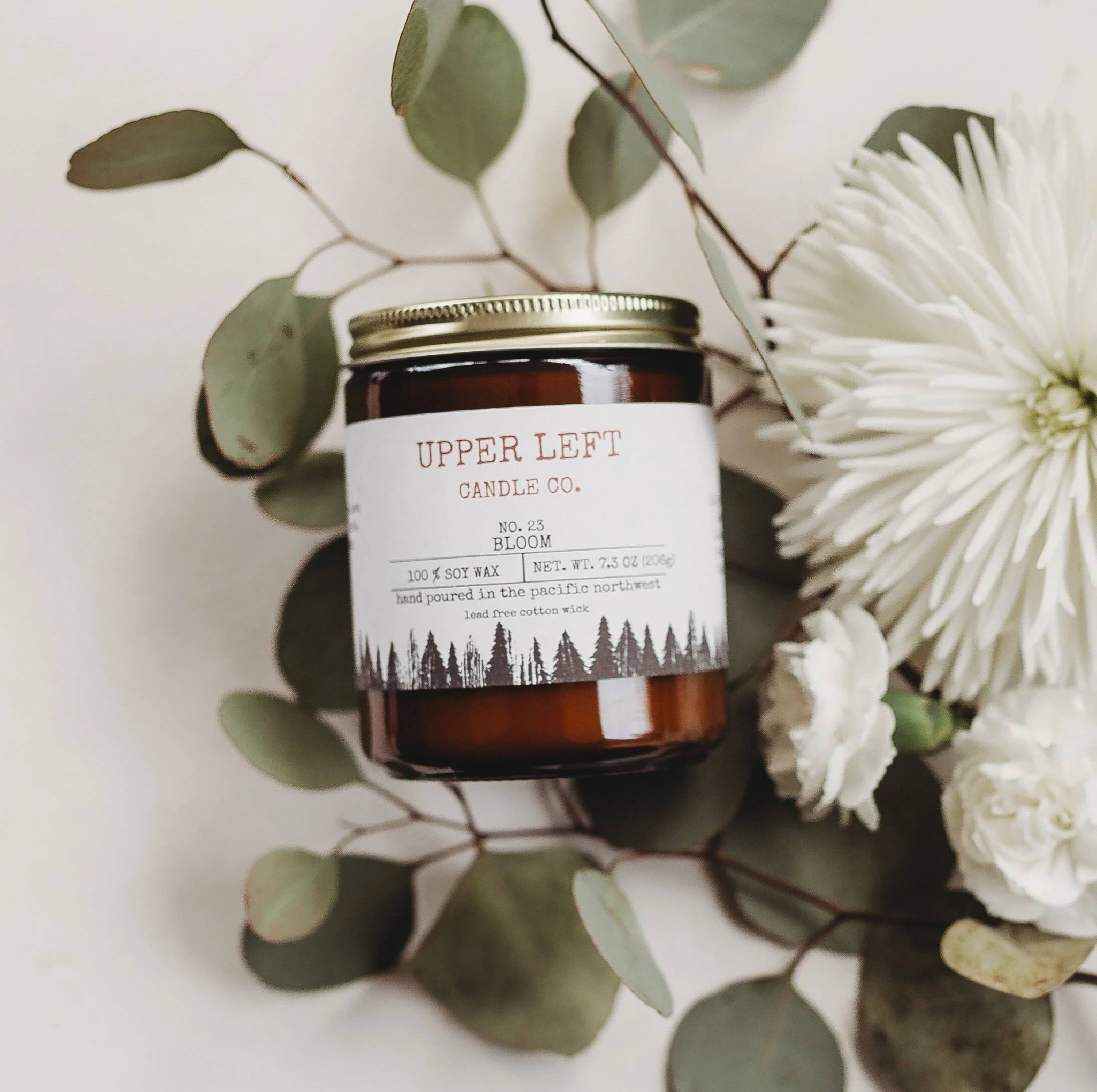 B95A2498-60CD-4396-A301-4670658A29B9