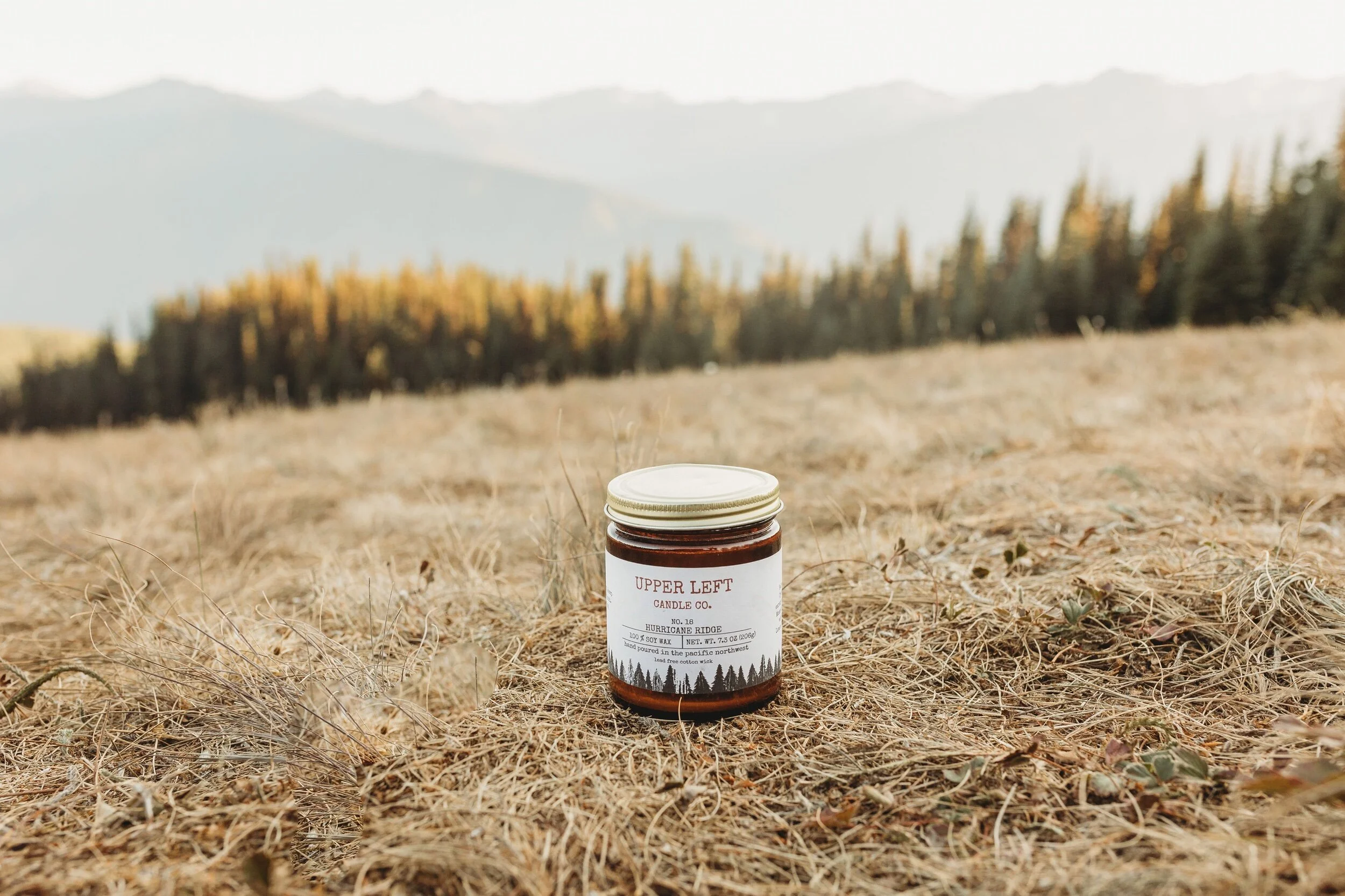 98379C4E-1784-4678-8BB1-53D78536DF6B