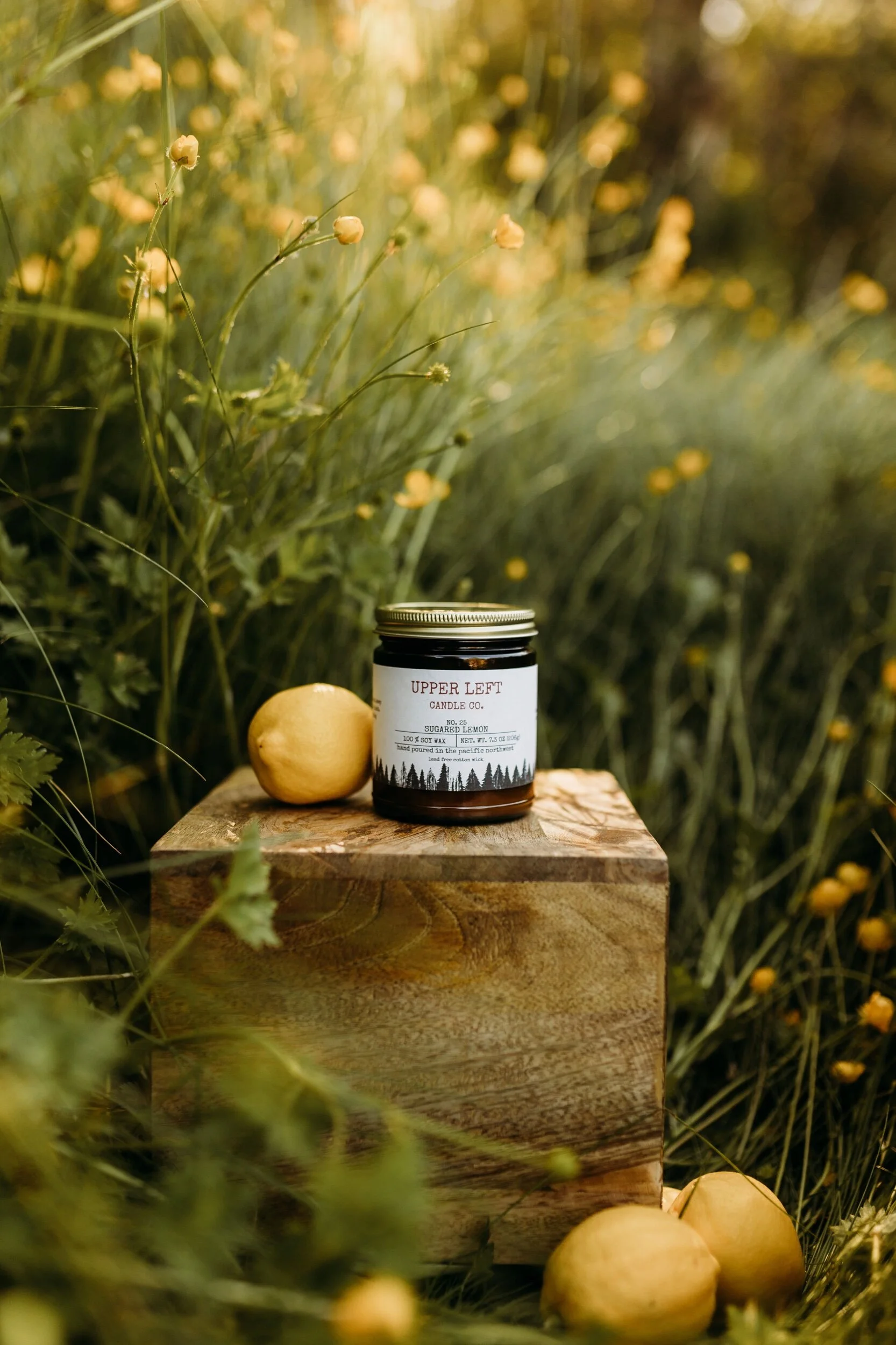 F5F9067A-6E4D-4F02-B68B-DD869AFB280E