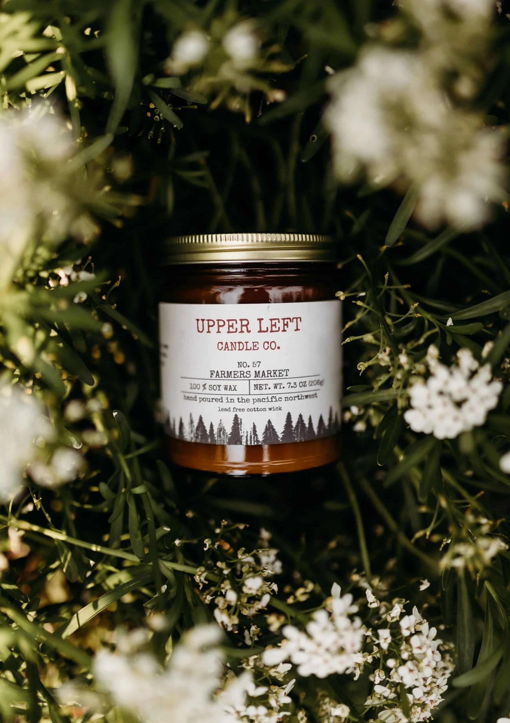 2199DDDB-4F4A-4B2B-BE1C-C7EC09CFDDA4